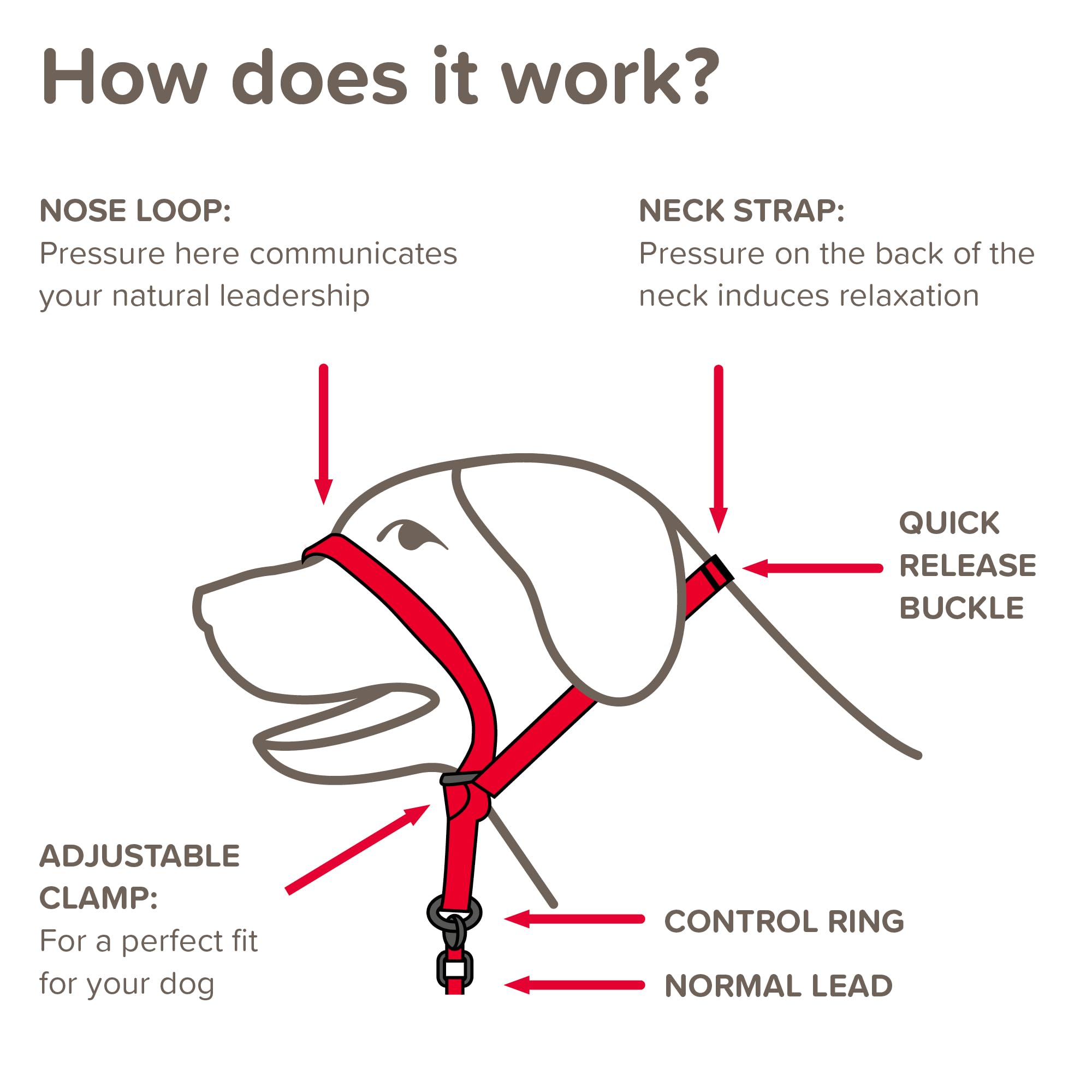Beaphar Gentle Leader Headcollar - Stops Pulling for Small Dogs | Black Nylon 3