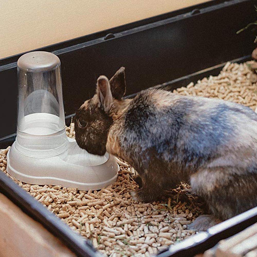 Ferplast AZIMUT 600 Automatic Pet Feeder/Water Dispenser - 0.6L Capacity | White Plastic 5