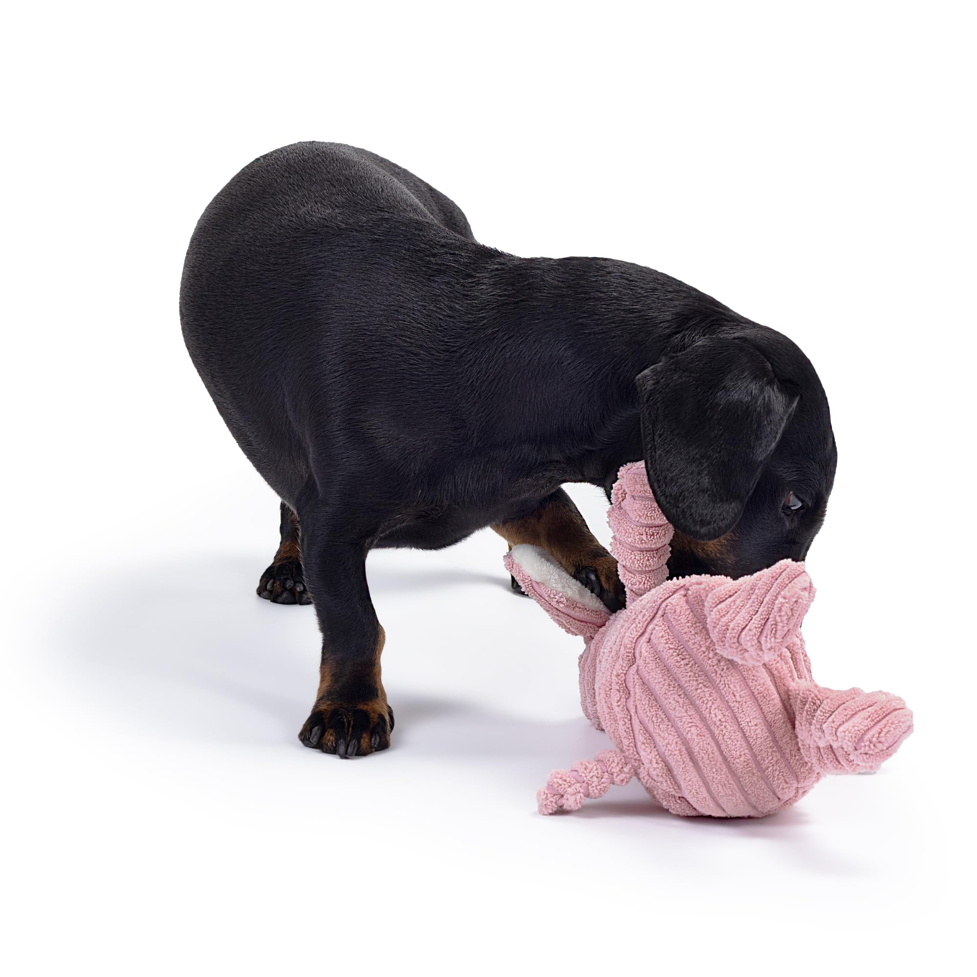 Zappi Co Pink Lamb Plush Dog Toy - Squeaker, Corduroy, Small 5