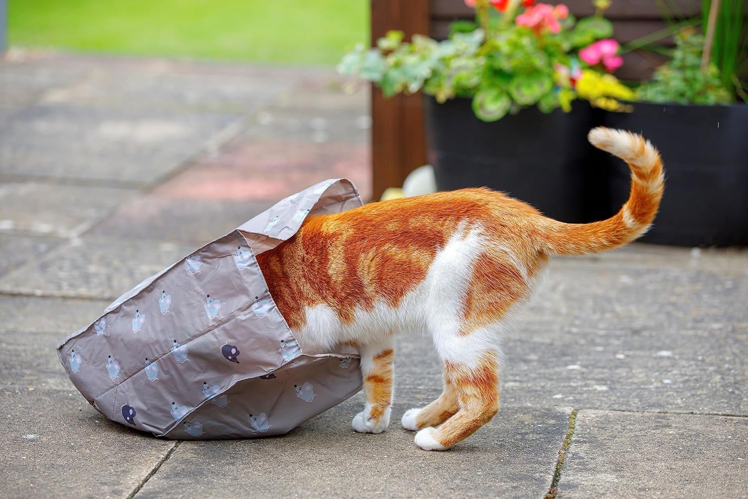 Petface Angry Mouse Cat Crinkle Bag - Sensory Stimulation | Nylon | Grey 5