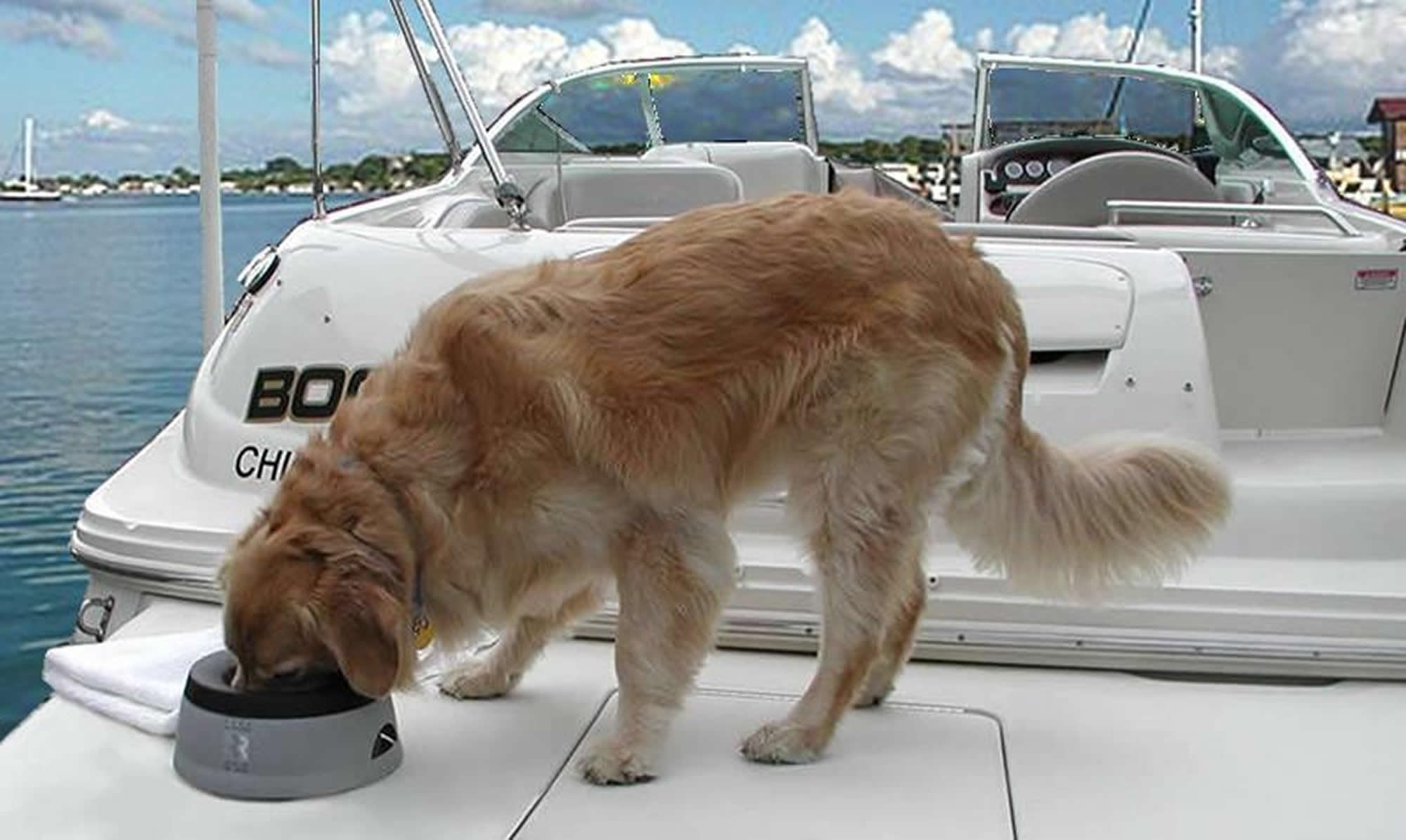 Road Refresher Non-Spill Pet Water Bowl - Large, Green | Heat Resistant Polypropylene 2
