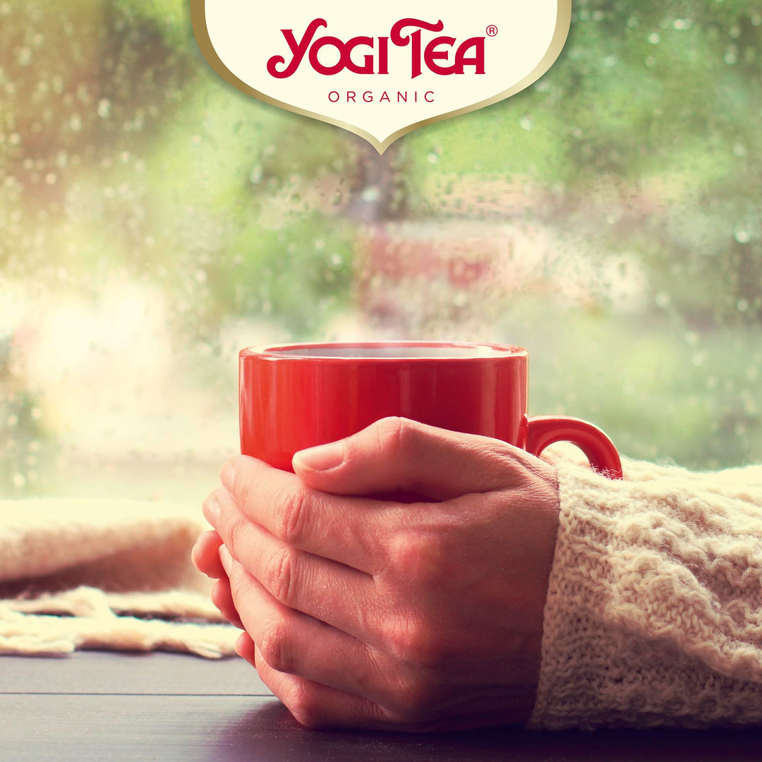 YOGI TEA - Turmeric Chai Organic Herbal Tea, Great for Golden Milk, Blend of Turmeric, Cinnamon & Ginger