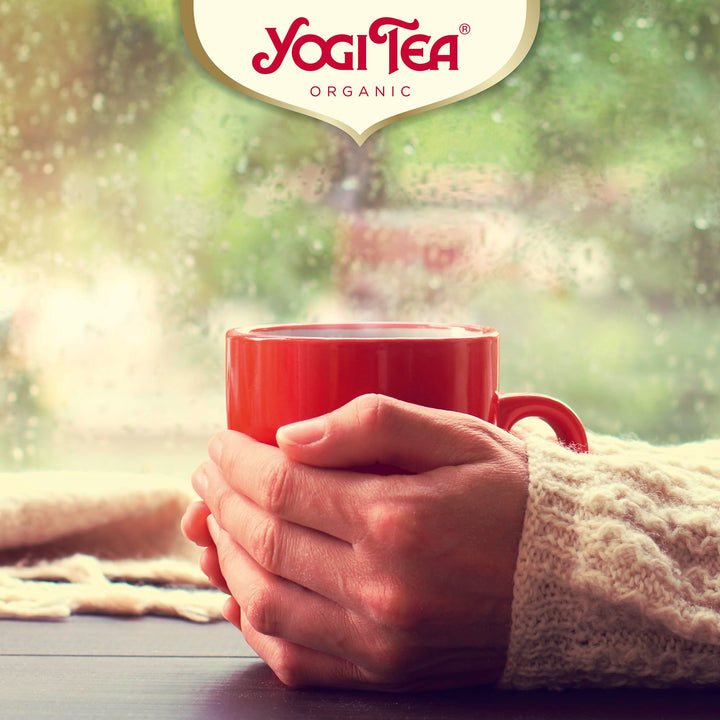 YOGI TEA - Turmeric Chai Organic Herbal Tea, Great for Golden Milk, Blend of Turmeric, Cinnamon & Ginger