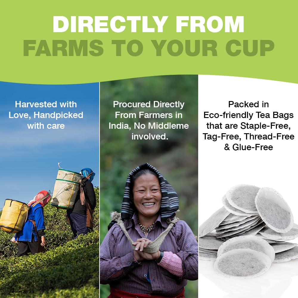 HANDPICK Green Tea Bags - 100% Pure Green Tea, 100 Bags, No Adhesive, No Bleach, Gluten Free