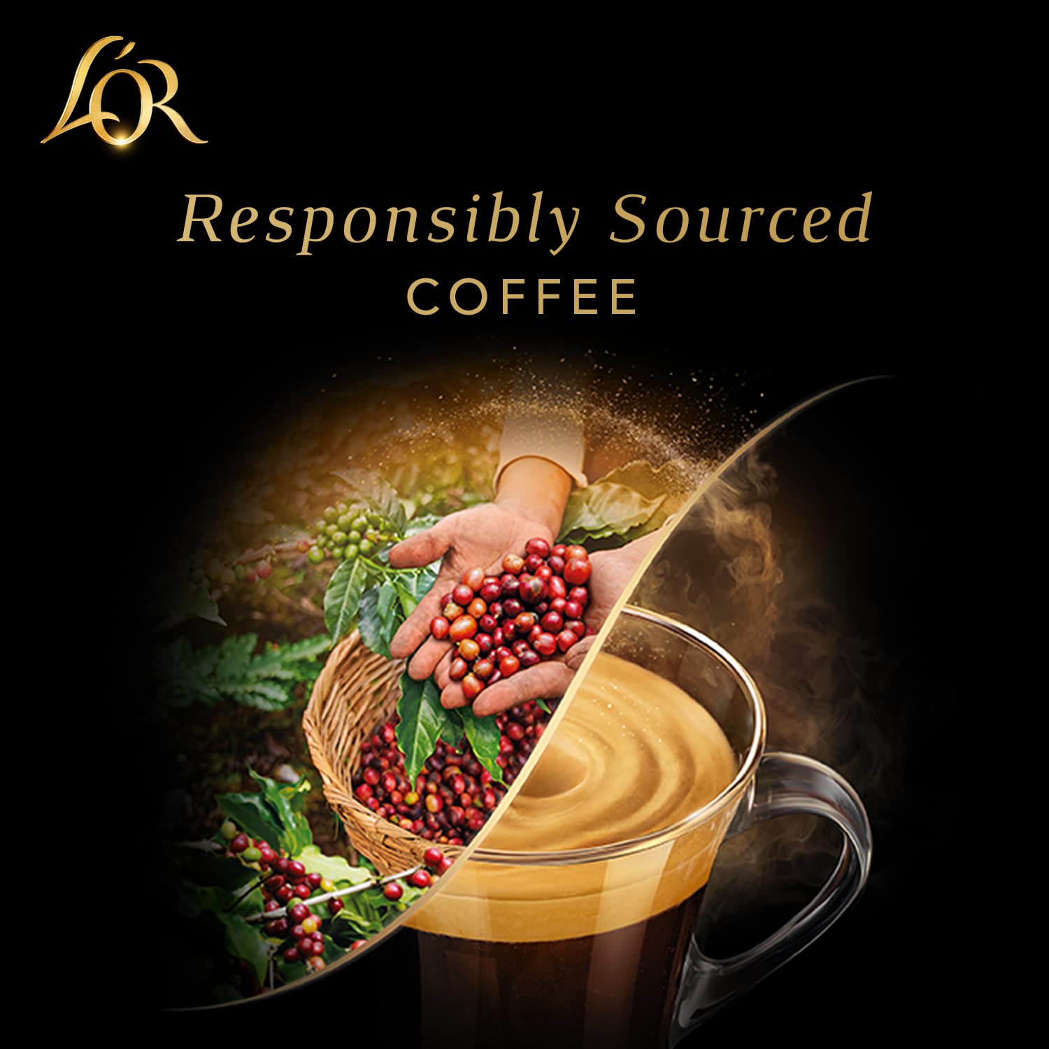 L'OR Espresso Ristretto Decaf Kaffeepads (Packung mit 100 Kapseln, Intensität 9) 7