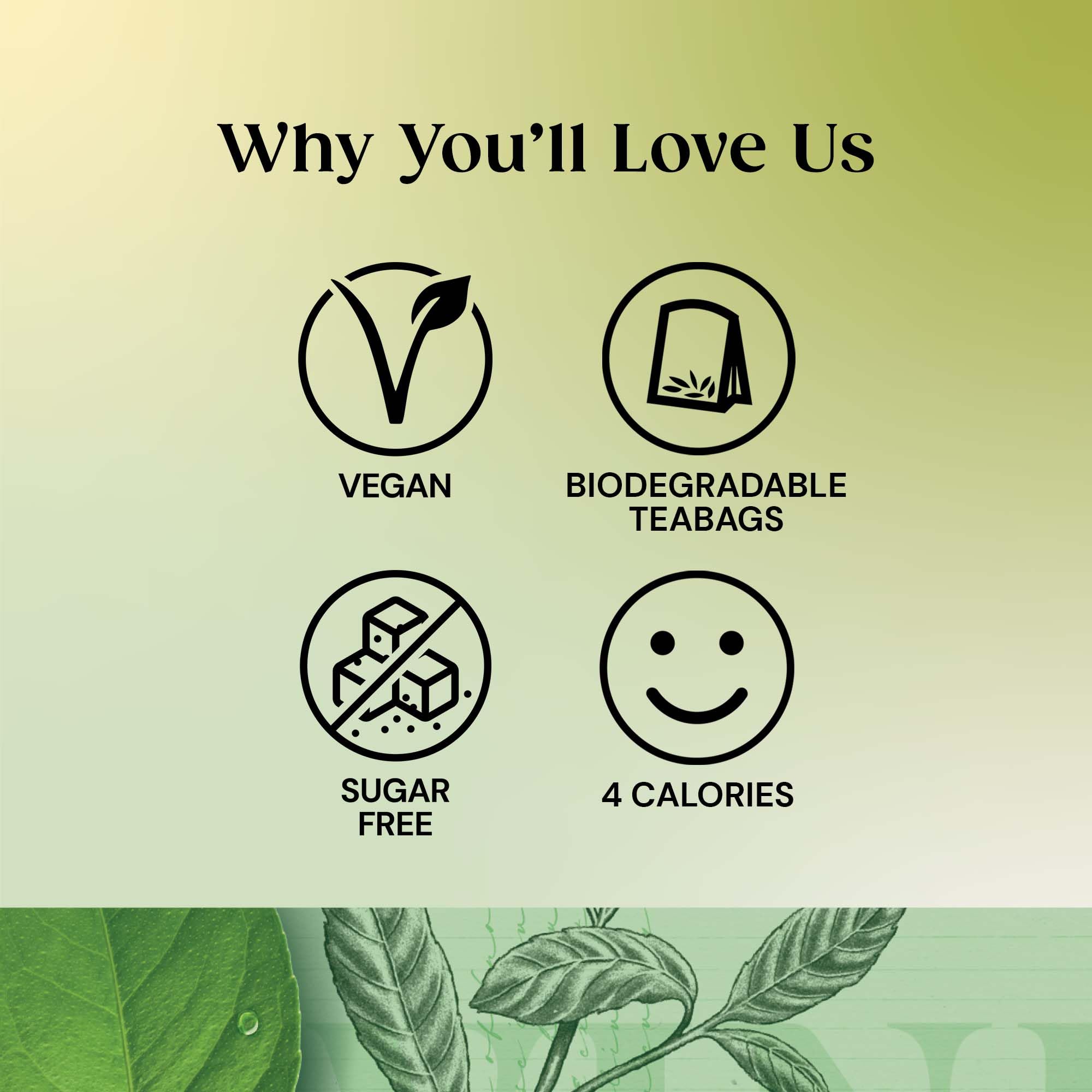 Twinings Pure Green Tea 80 Tea Bags (4 x 20 Tea Bags) 9