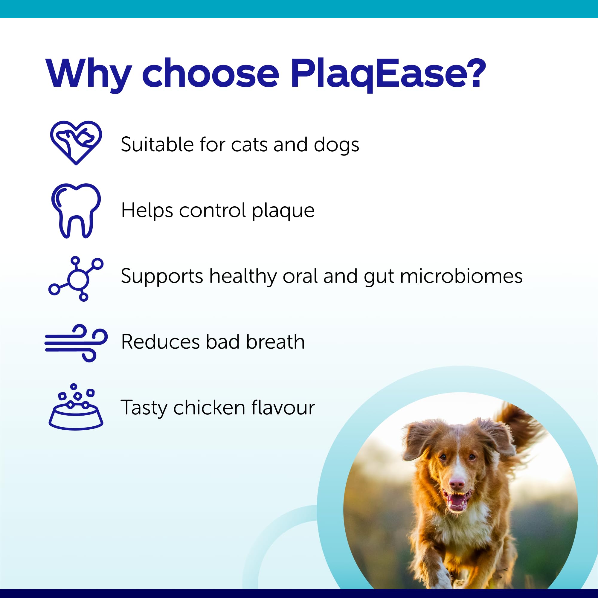 Protexin PlaqEase Dental Powder for Dogs and Cats - Reduces Plaque & Tartar | Chicken Flavor | 75g