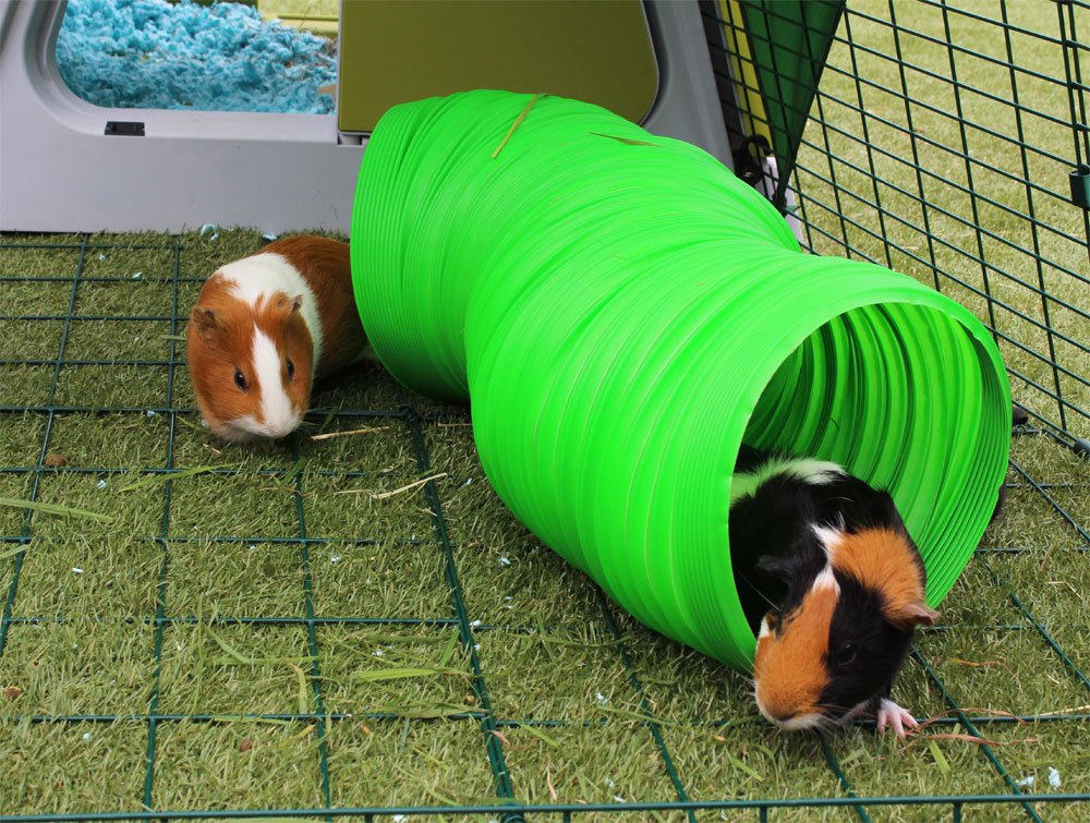 Snugglesafe All Weather Flexible Bunny Warren Fun Tunnel for Small Animals | 76cm Length | Green Plastic 2