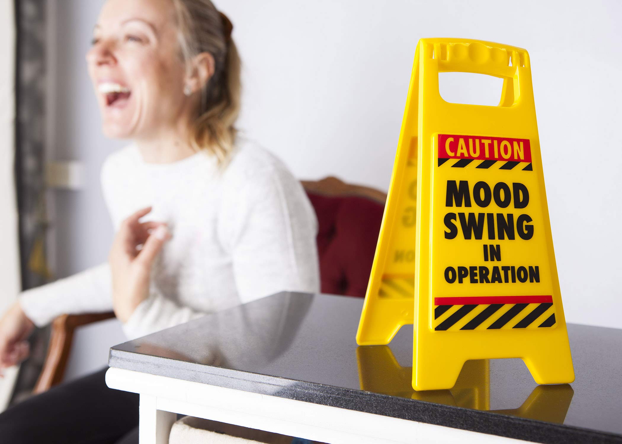 Boxer Gifts Mood Swing Novelty Warning Sign | Plastic | 11.8cm x 25cm | Yellow 4