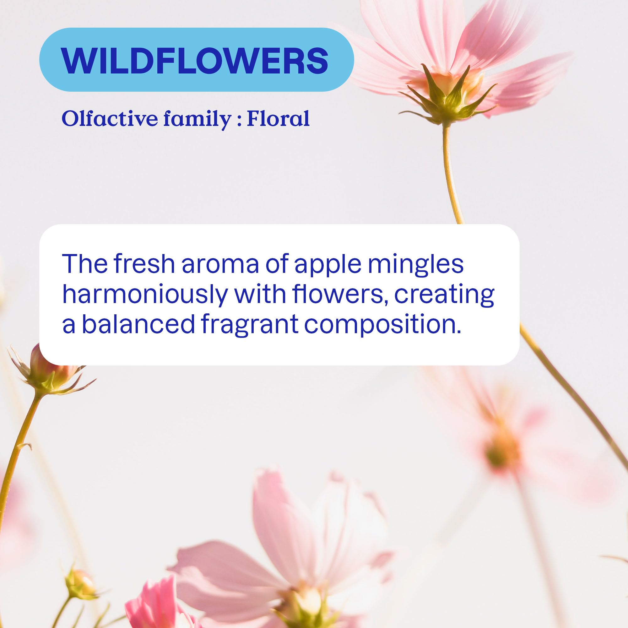 ATTITUDE - Wildflowers Liquid Laundry Detergent, EWG Verified, HE Compatible, Plant-Based 6