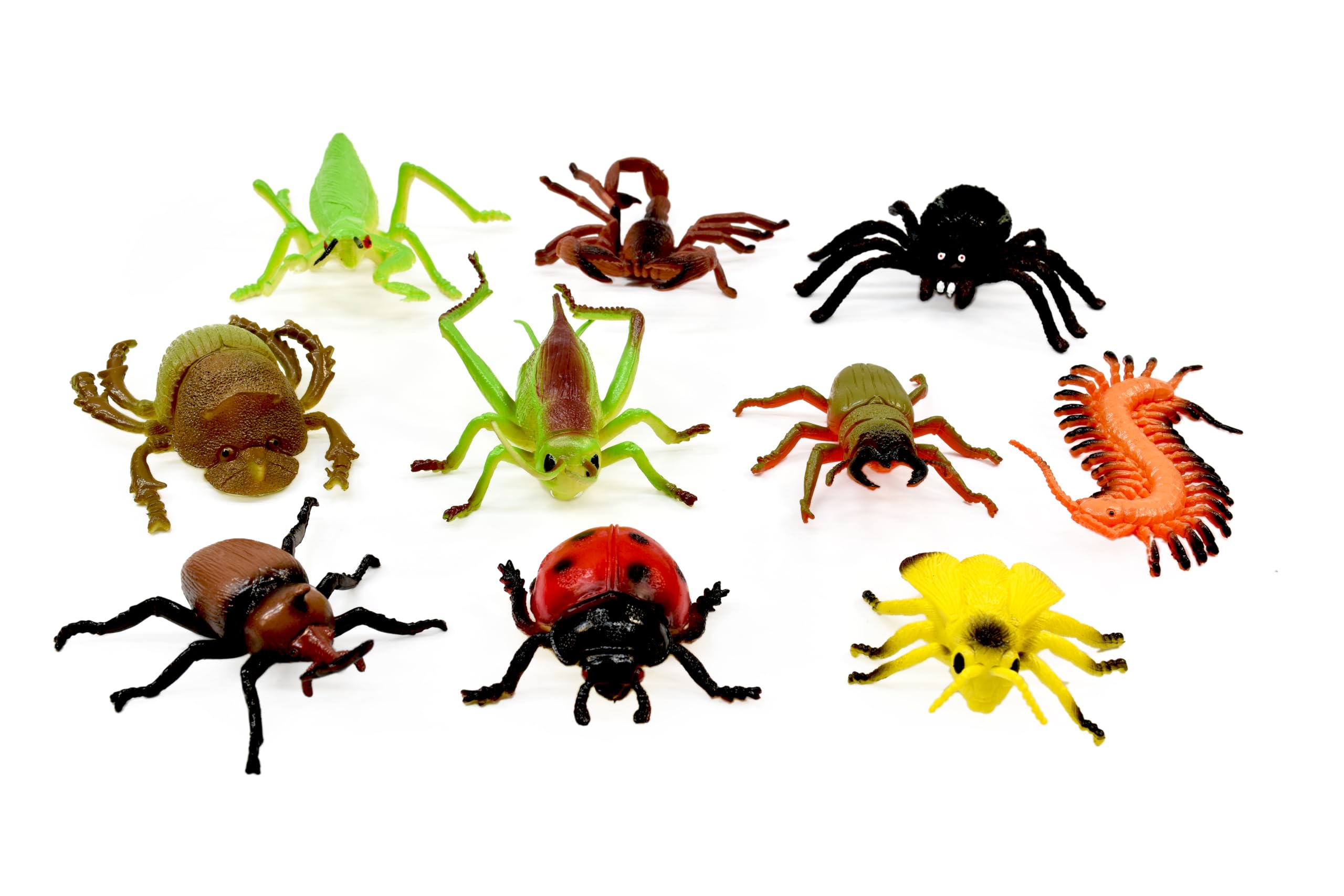 Peterkin Classics Insect World 10-Piece Toy Set | 6-12cm Figures 2
