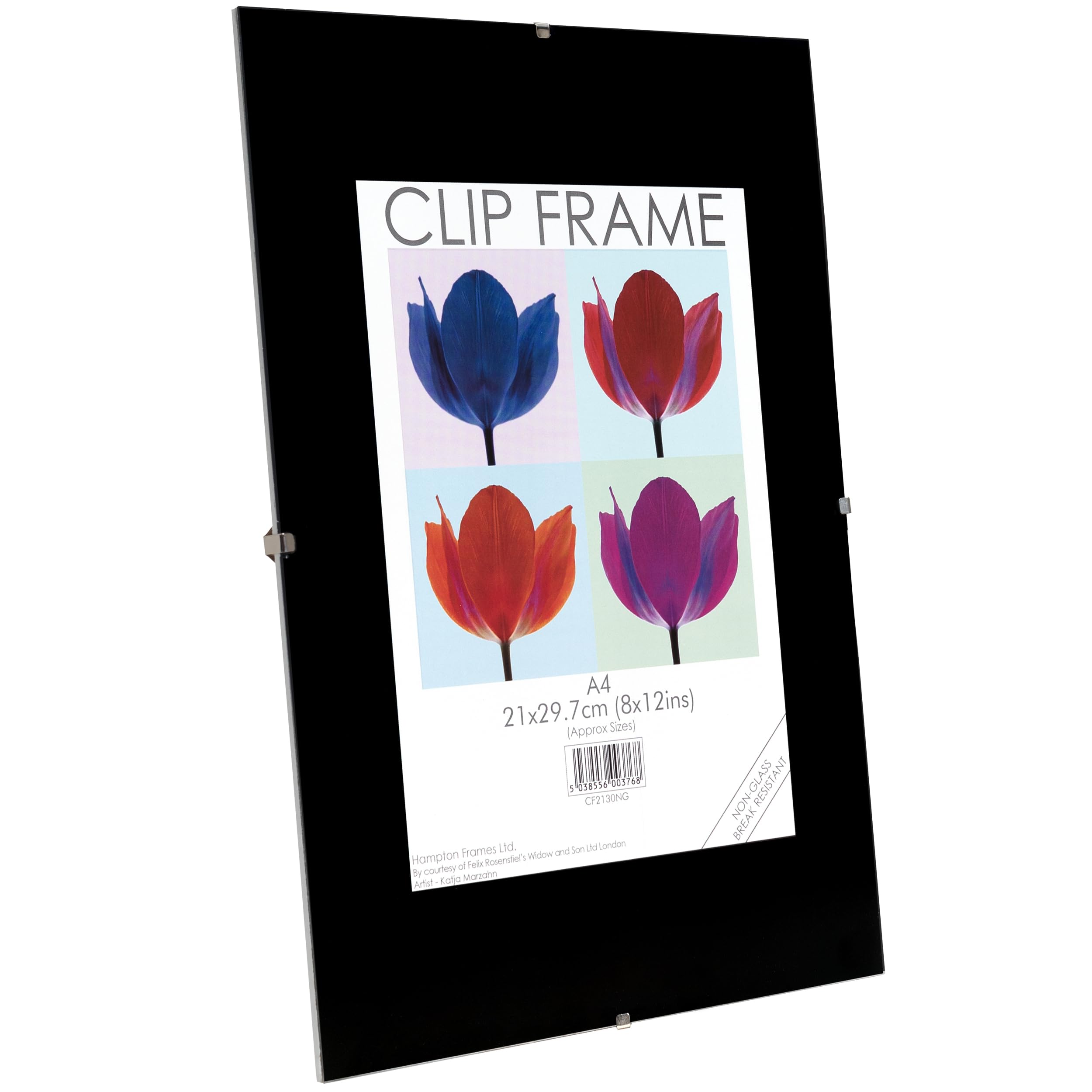 Hampton Frames CLIP Photo Poster Display Clip Frame - Frameless A4 (21x30cm) Clear Plastic CF2130NG 2