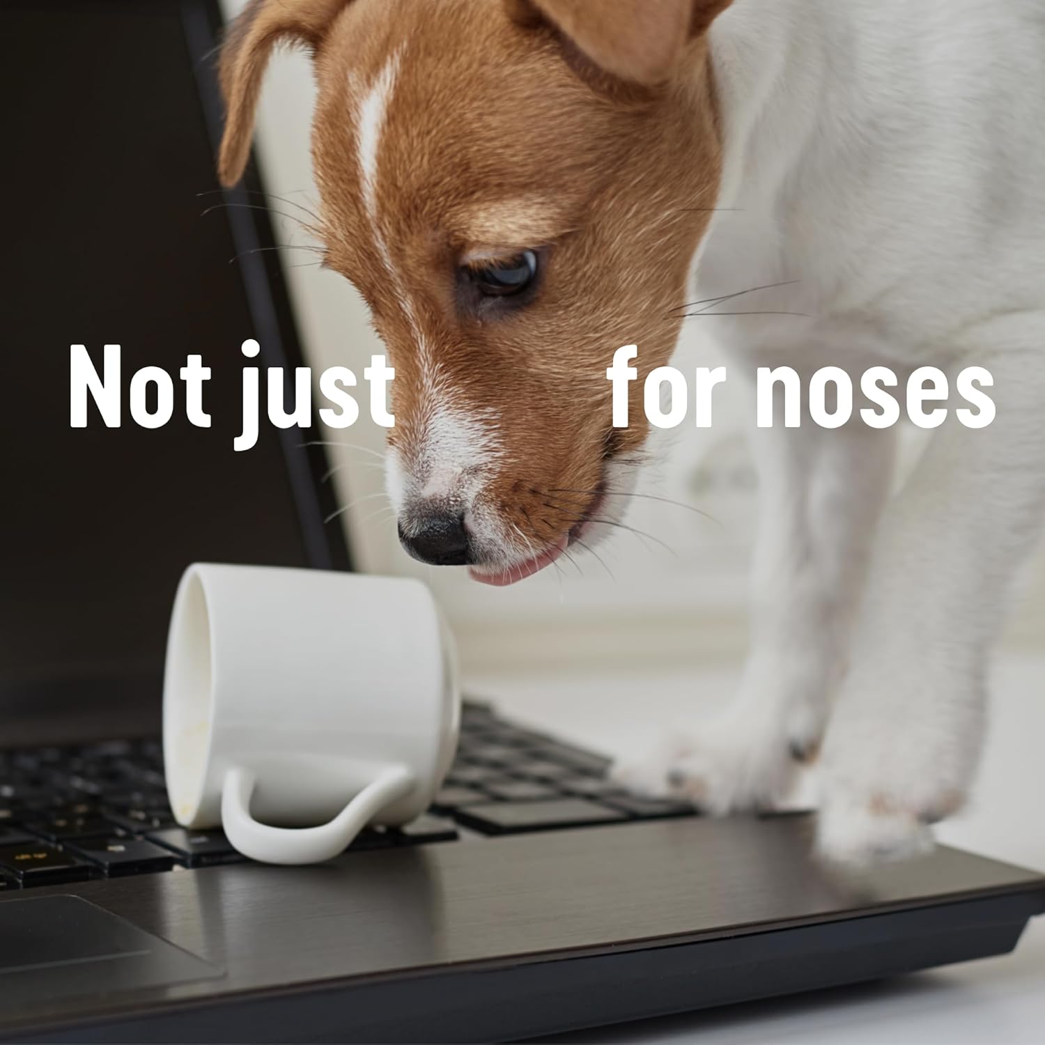 Kleenex - Original Facial Tissues, 3-Ply, 64 Sheets per Box 5