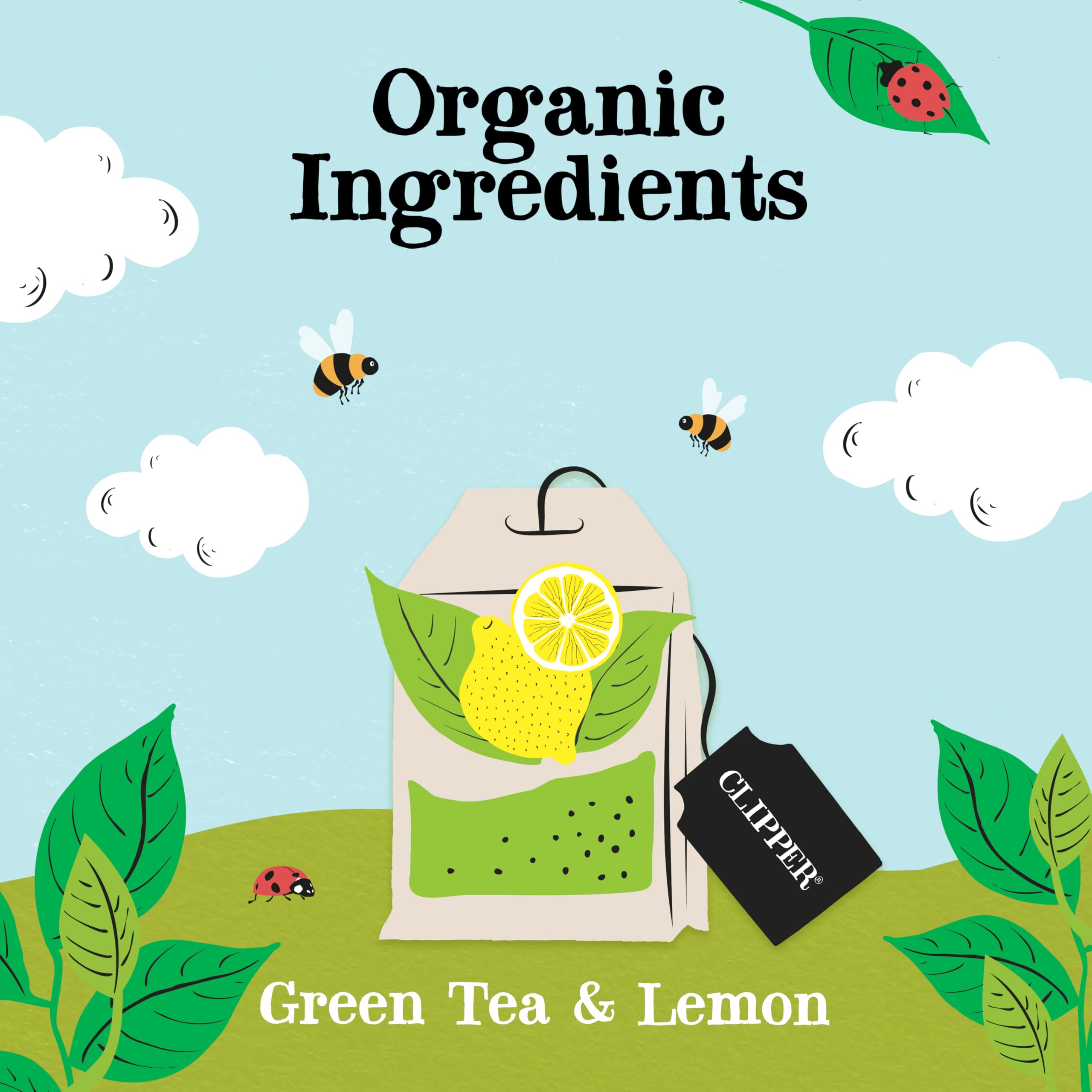 Clipper Natural, Fair & Delicious Organic Lemon Green Tea Bags - 80 Count | Fairtrade & Biodegradable 3