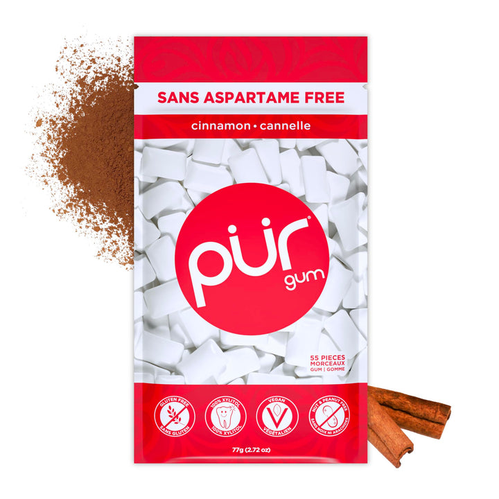 PUR - Natural Cinnamon Sugar-Free Chewing Gum, 55 Pieces (Pack of 1)