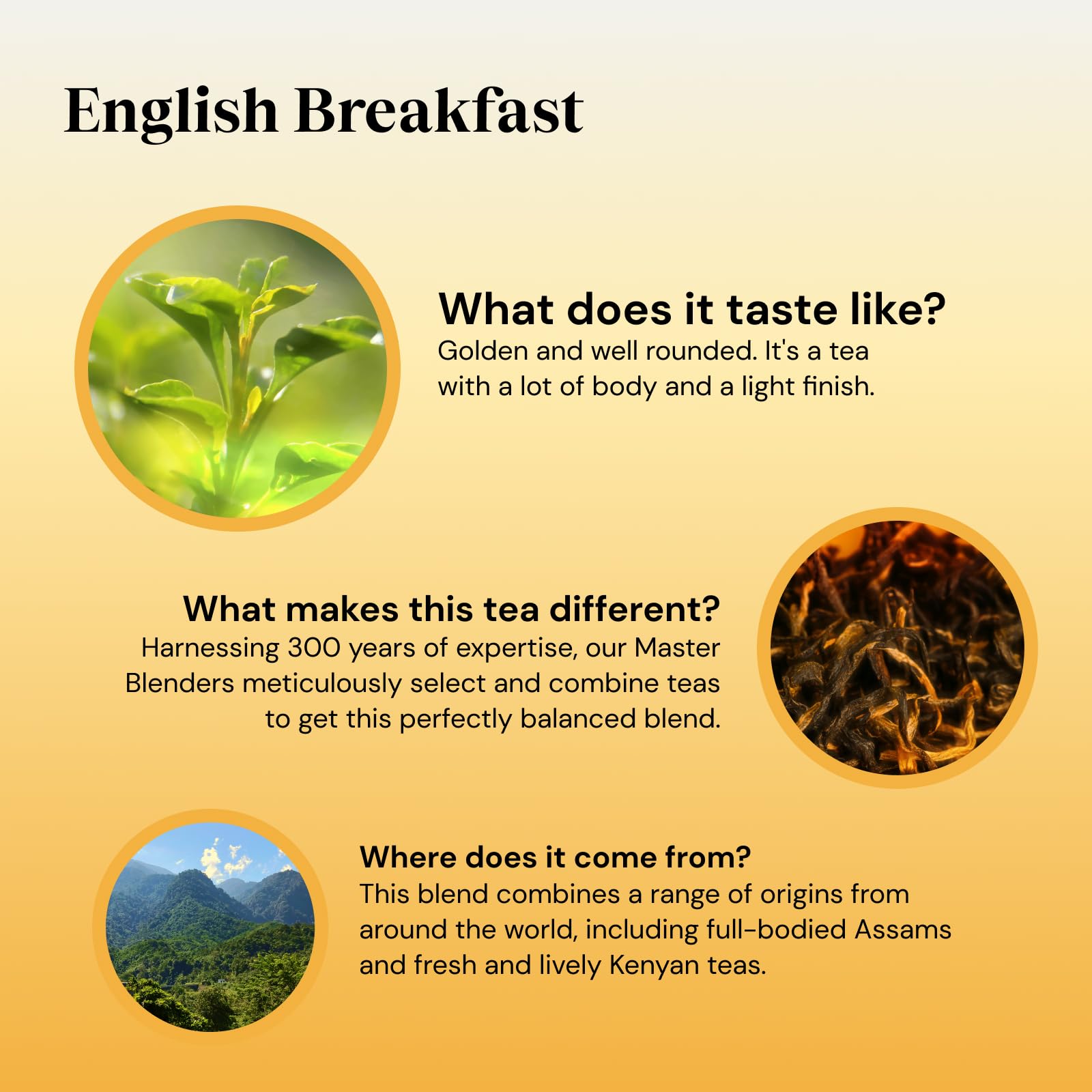 Twinings English Breakfast Black Tea - Golden & Well Rounded | 40 Biodegradable Teabags | 100g 3