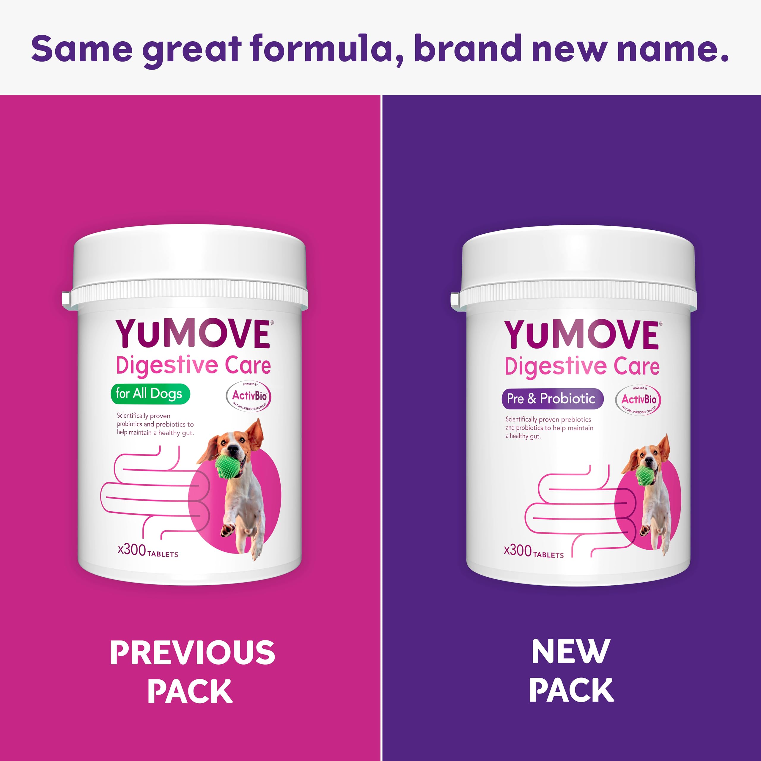 YuMOVE Digestive Care Dog Pre and Probiotics Supplement for Gut Health | 300 Tablets 3