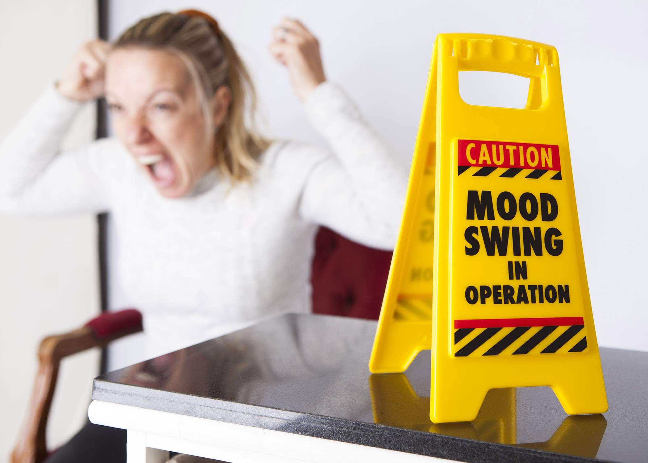 Boxer Gifts Mood Swing Novelty Warning Sign | Plastic | 11.8cm x 25cm | Yellow 6