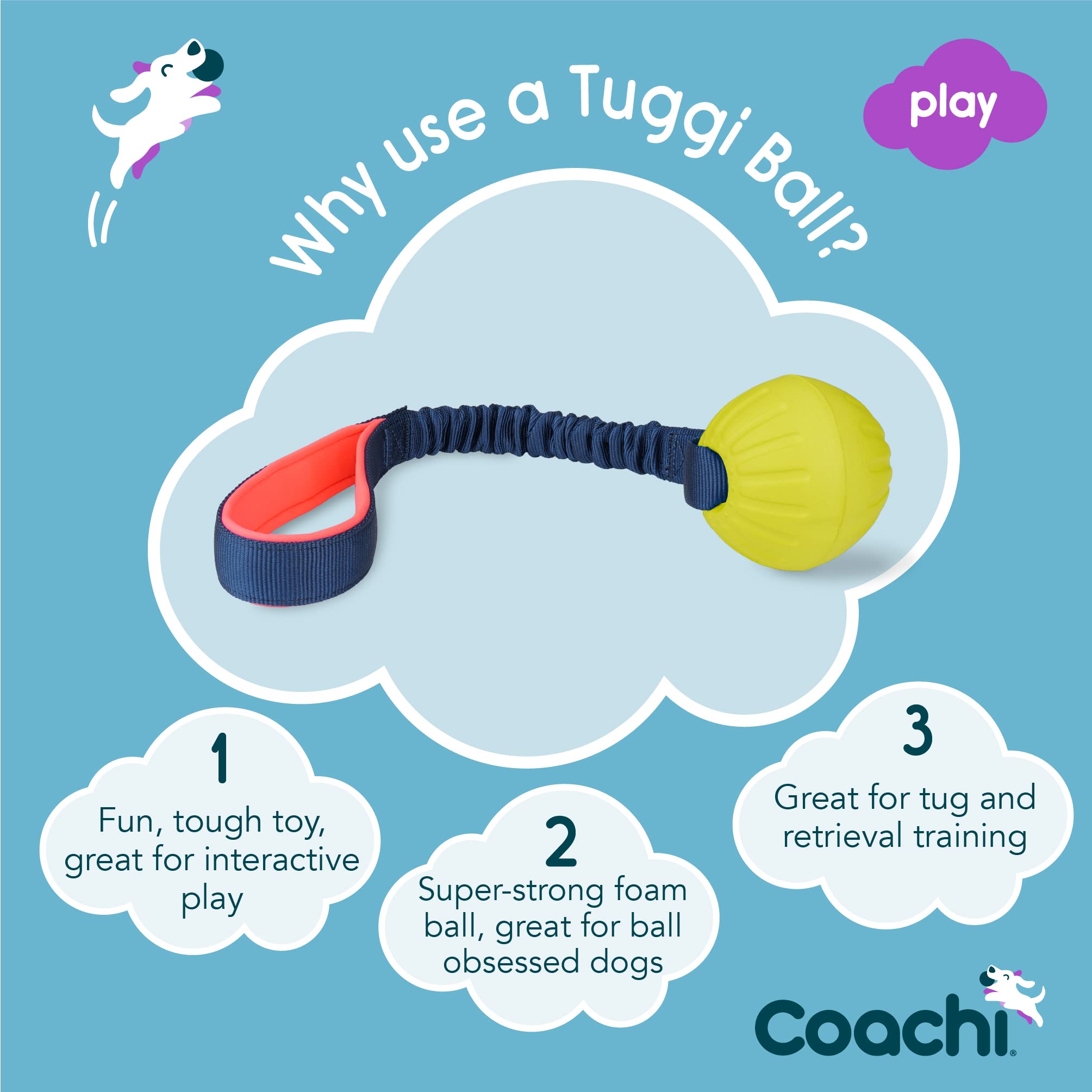 Coachi Tuggi Ball - Interactive Dog Toy for Tug of War & Fetch | Bungee Handle | Navy, Coral & Lime