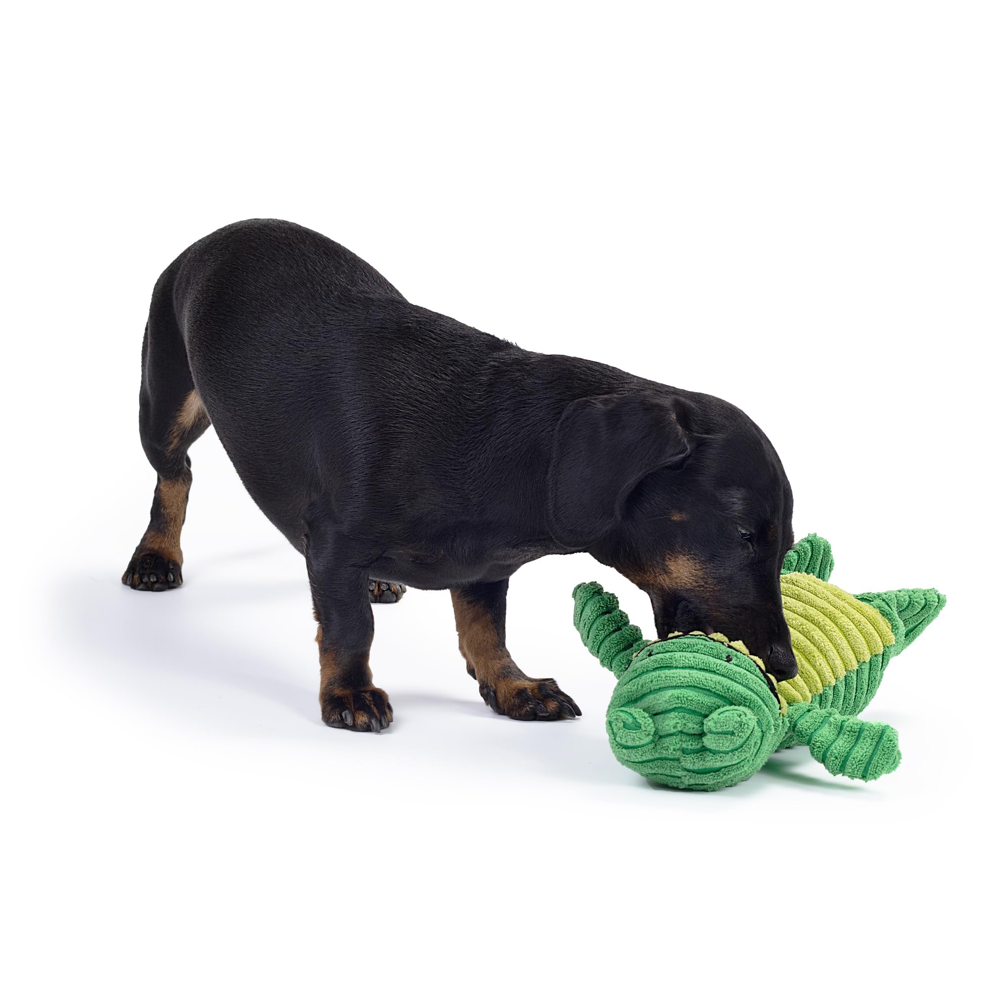 Zappi Co Green Frog Plush Dog Toy with Squeaker | Corduroy | For Small/Medium Breeds 5