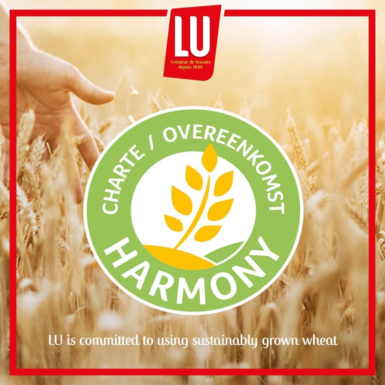 LU Le Petit Chocolat Milk Chocolate Coated Biscuits, Classic French Buttery 6