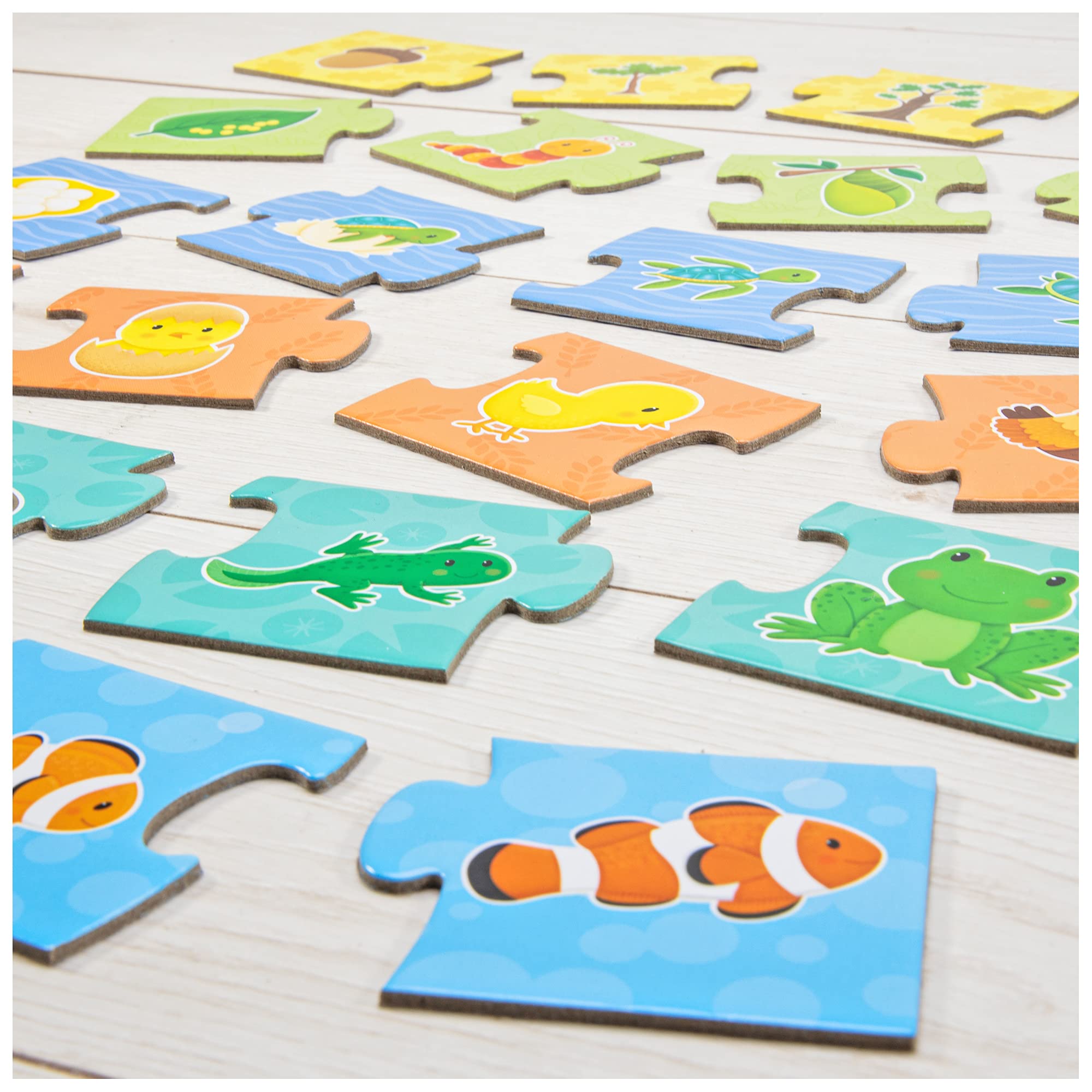 Galt How Things Grow Puzzle Set - 6 Life Cycle Puzzles | Ages 3-6 | Thick Board 4