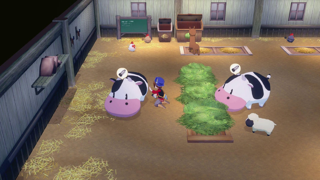 Story of Seasons: Grand Bazaar - Nintendo Switch