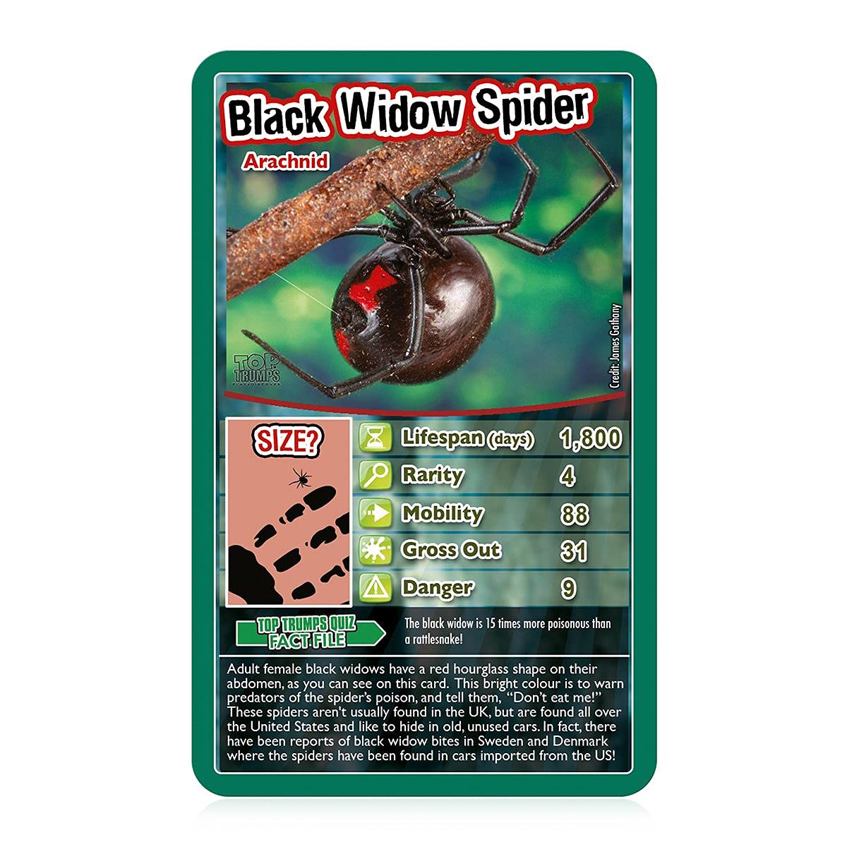 Top Trumps Bugs Classic Card Game - Educational Insect & Arachnid Trivia for Kids 6+ 13