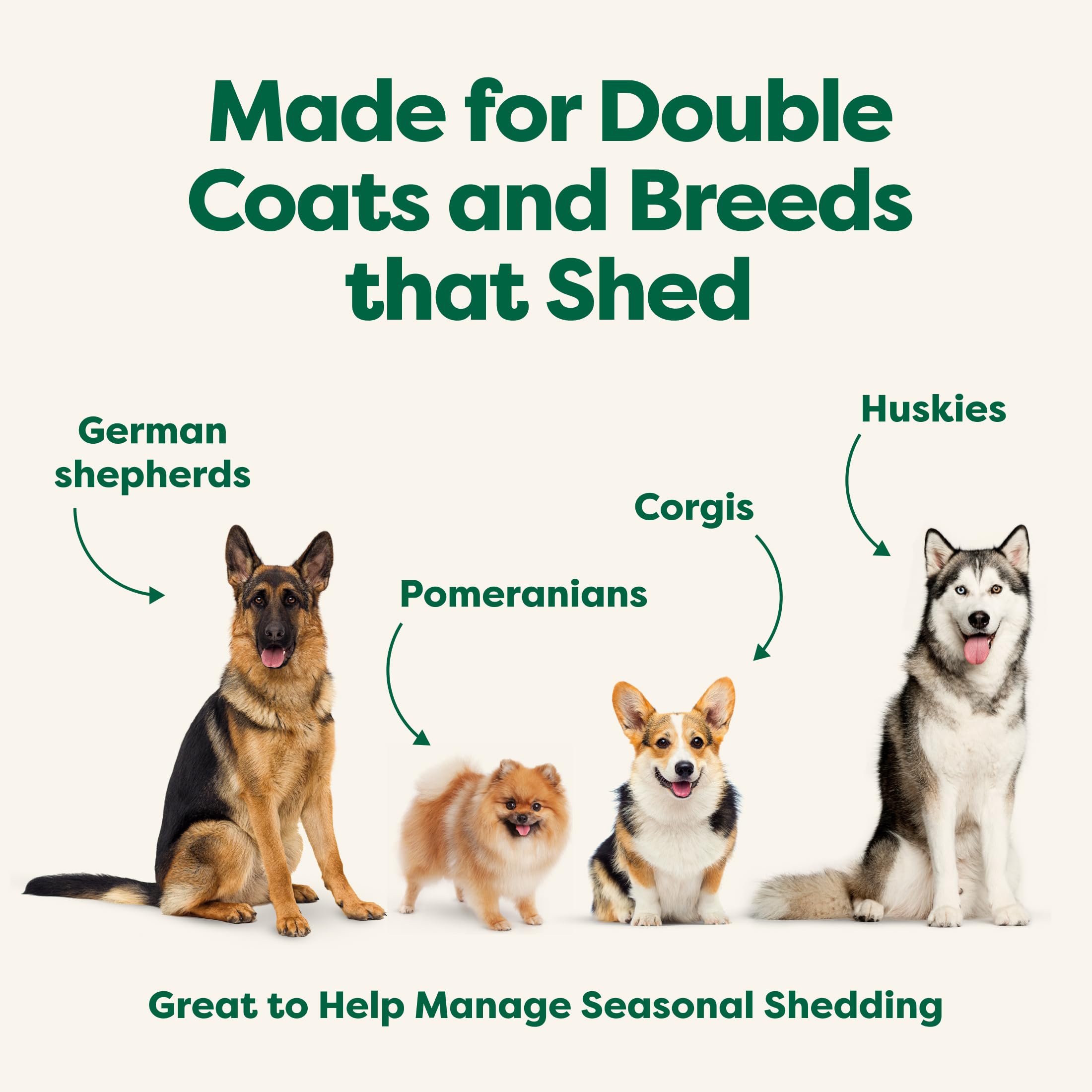 Earth Rated 3-in-1 Deshedding Dog Shampoo and Conditioner with Jojoba Oil | White Tea & Basil Scent | 473ml 7