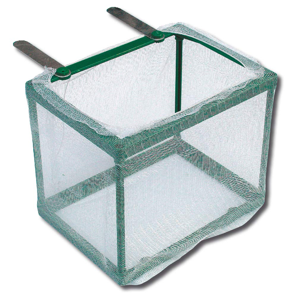 Amtra Wave Net Nursery Grow Aquarium Net | Plastic | Green | 16.5 cm 1
