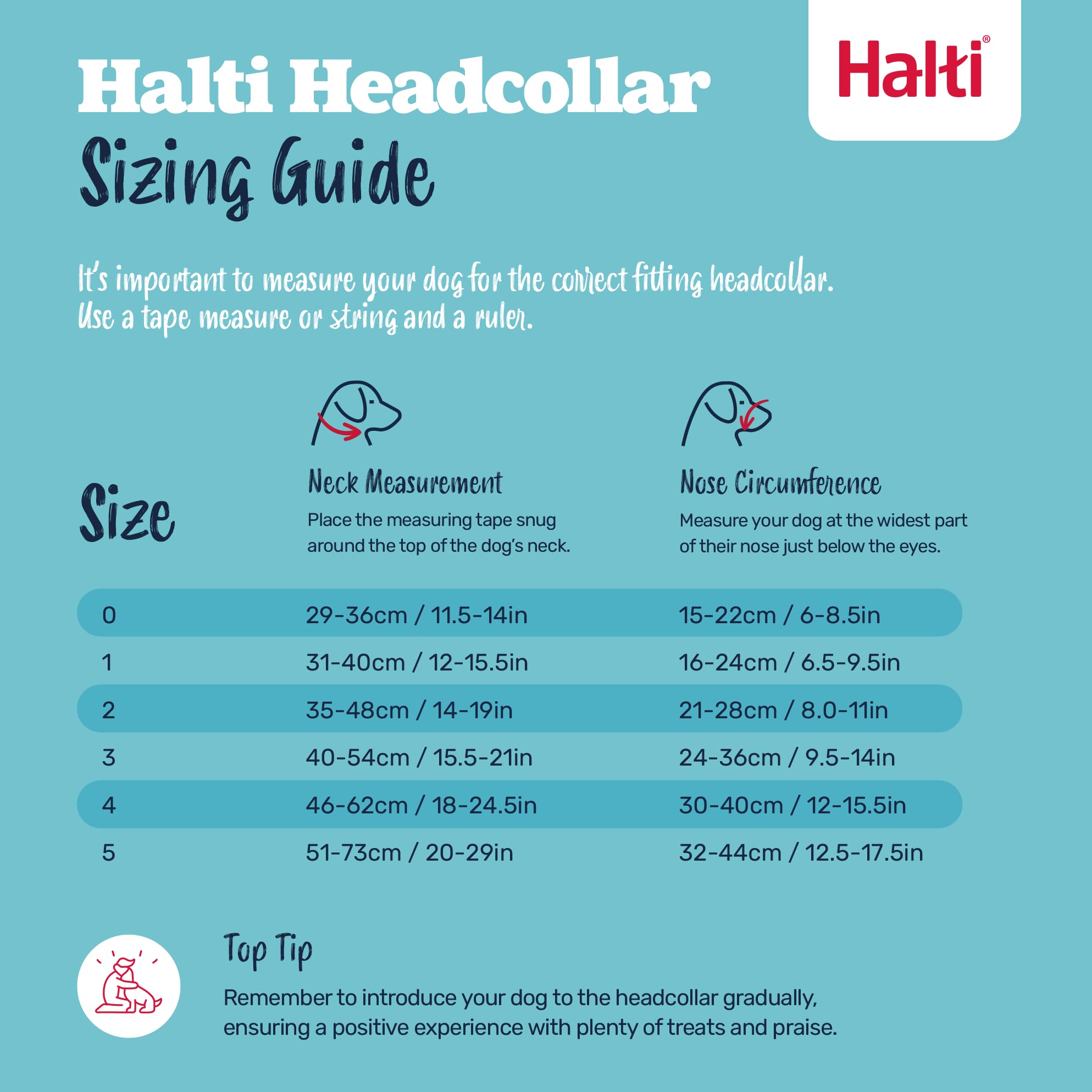 Halti Headcollar - Stops Pulling | Size 4 Large Dog | Forest Green Nylon 5