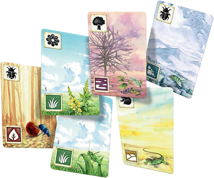 Rebel Centrum Meadow Board Game