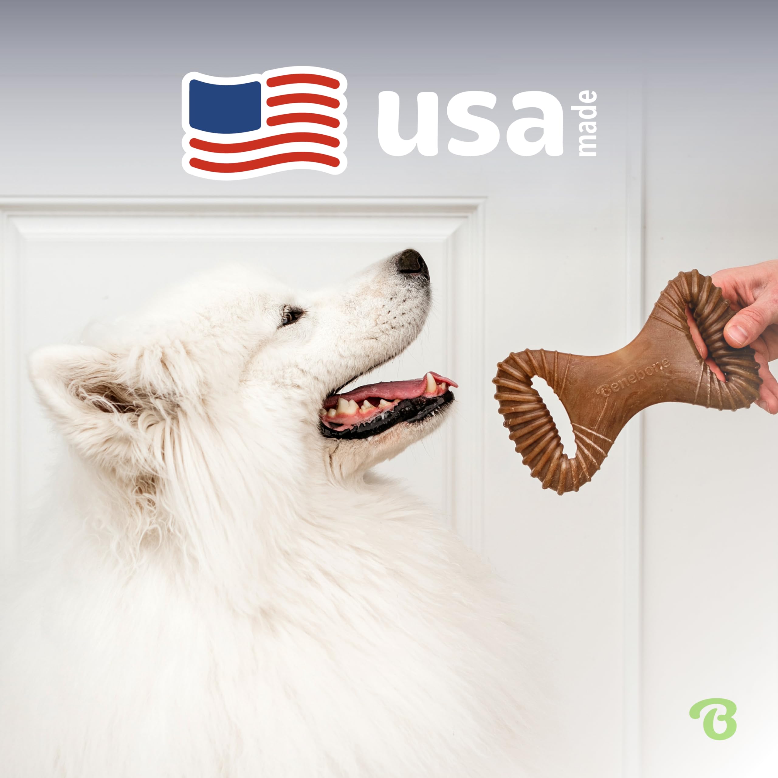 Benebone Indestructible Dental Dog Chew Toy - Real Bacon Flavor | Medium Dogs | Heavy Duty 5