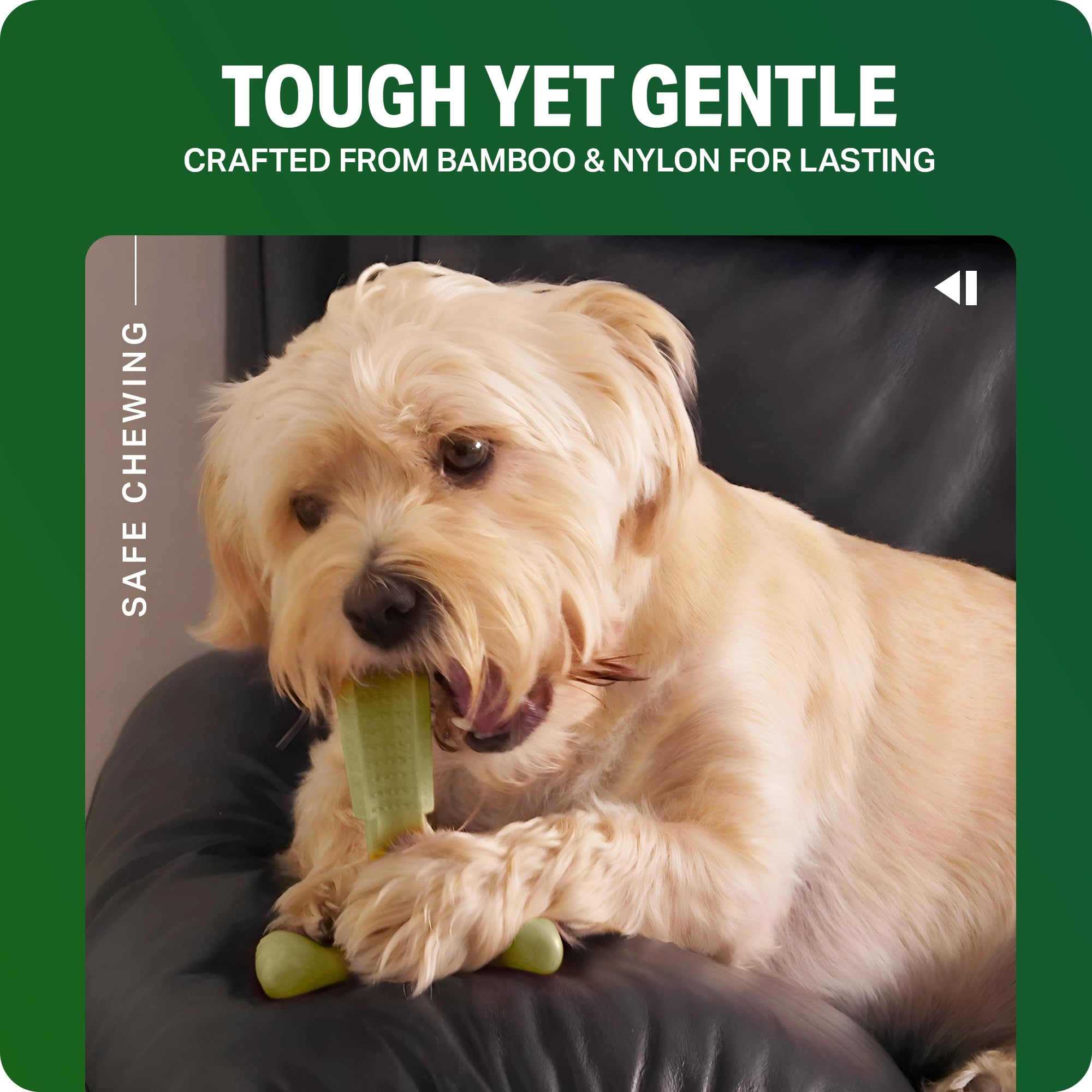 Bamboodles T-Bone Dog Chew Toy - Medium Size | Cheese Flavor | Heavy Duty 6