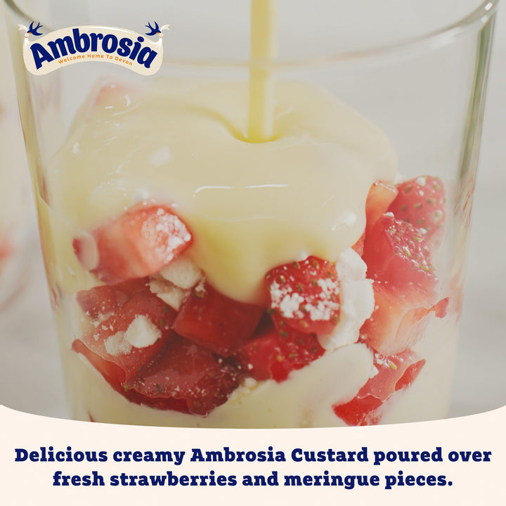 Ambrosia - Devon Custard Traditional 1 kg (Pack of 1)