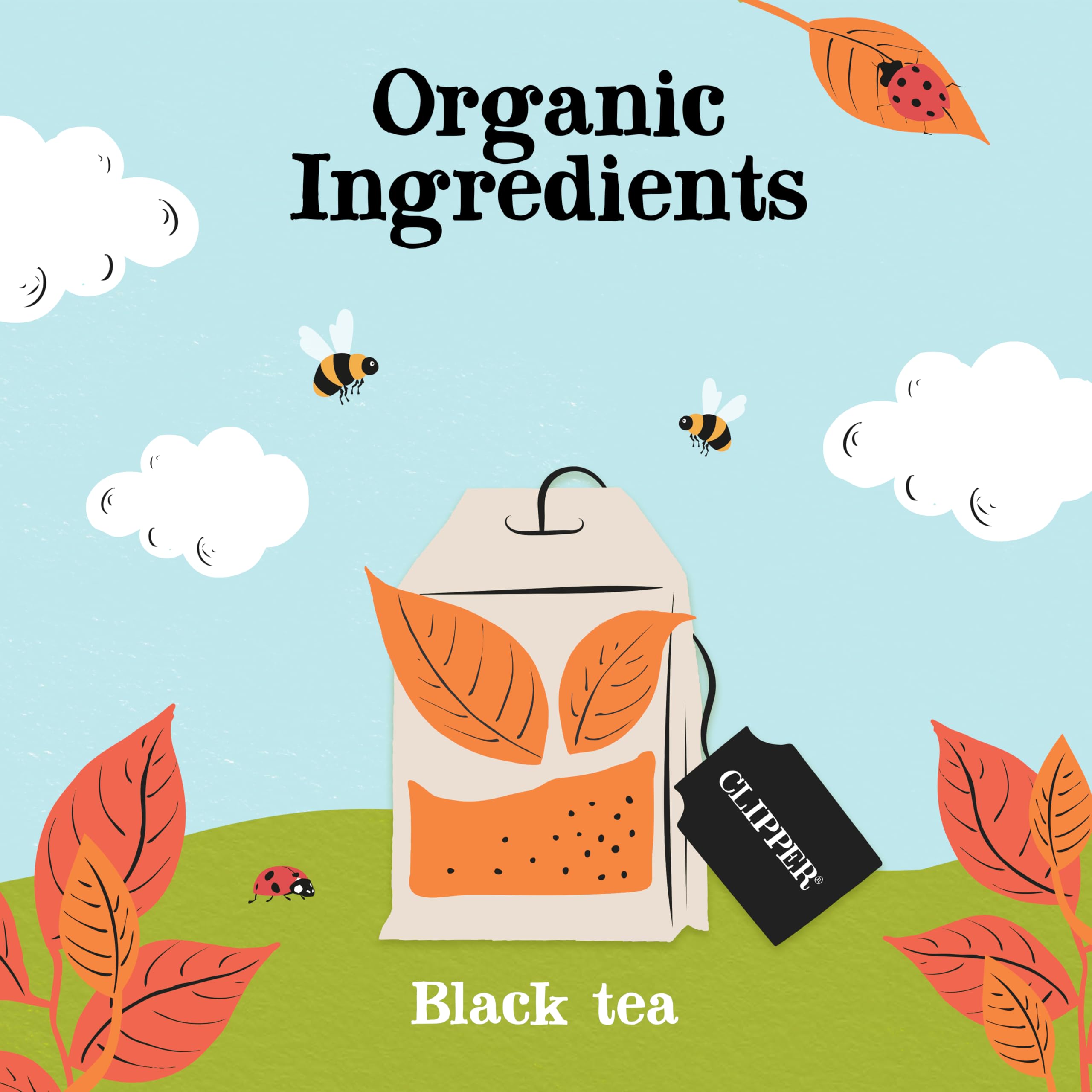 Clipper Natural, Fair & Delicious Everyday Fairtrade Black Tea Bags - 320 Count (4 x 80 Pack) | Compostable 3