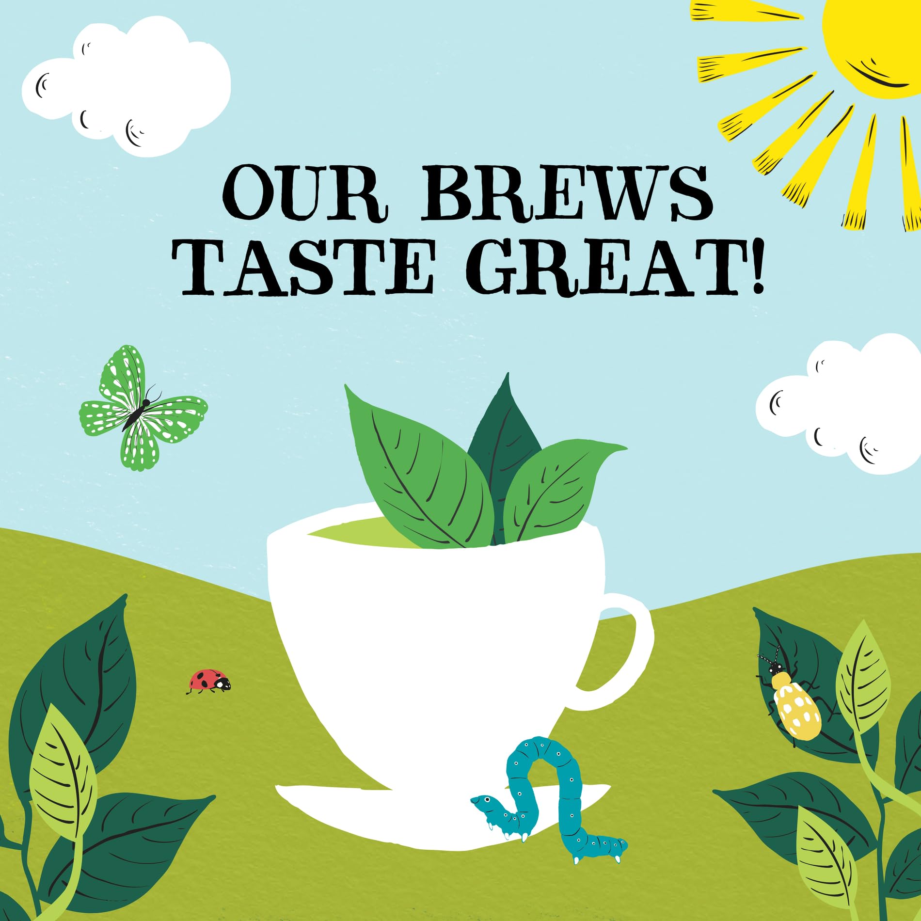 Clipper Organic Pure Green Tea Bags - Box of 40 Fairtrade & Biodegradable Tea Bags 10