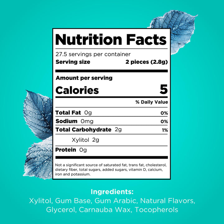 PUR - Natural Wintergreen Sugar-Free Chewing Gum (55 Pieces, Pack of 6)