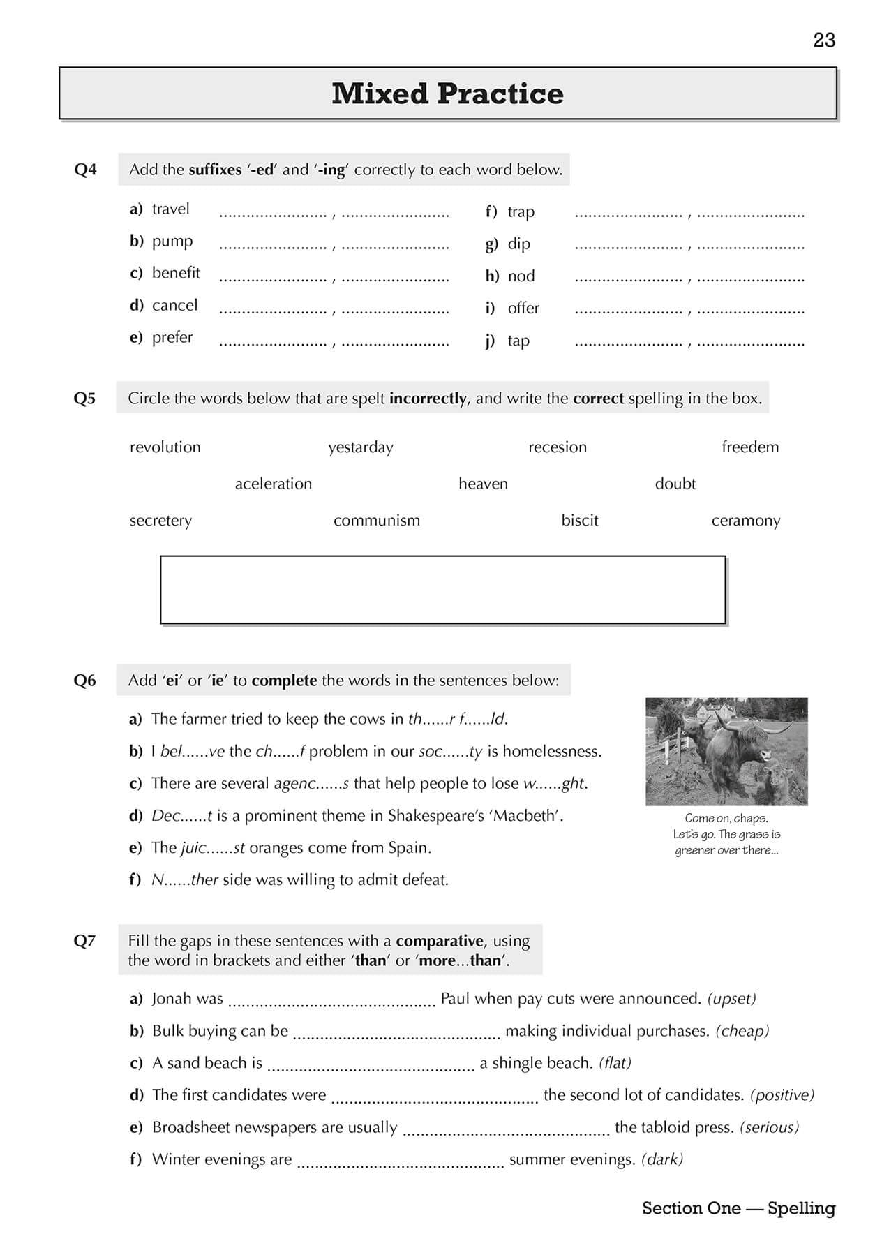 CGP Spelling, Punctuation and Grammar for Grade 9-1 GCSE Workbook | Includes Answers | Ages 14-16 9