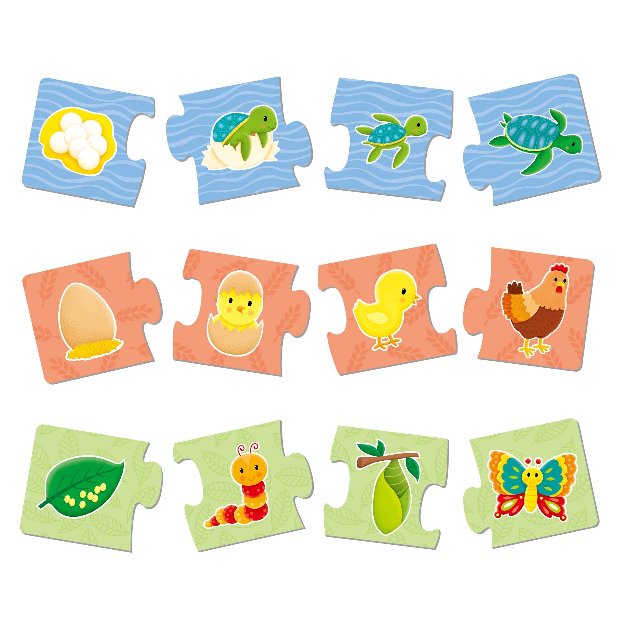Galt How Things Grow Puzzle Set - 6 Life Cycle Puzzles | Ages 3-6 | Thick Board 3
