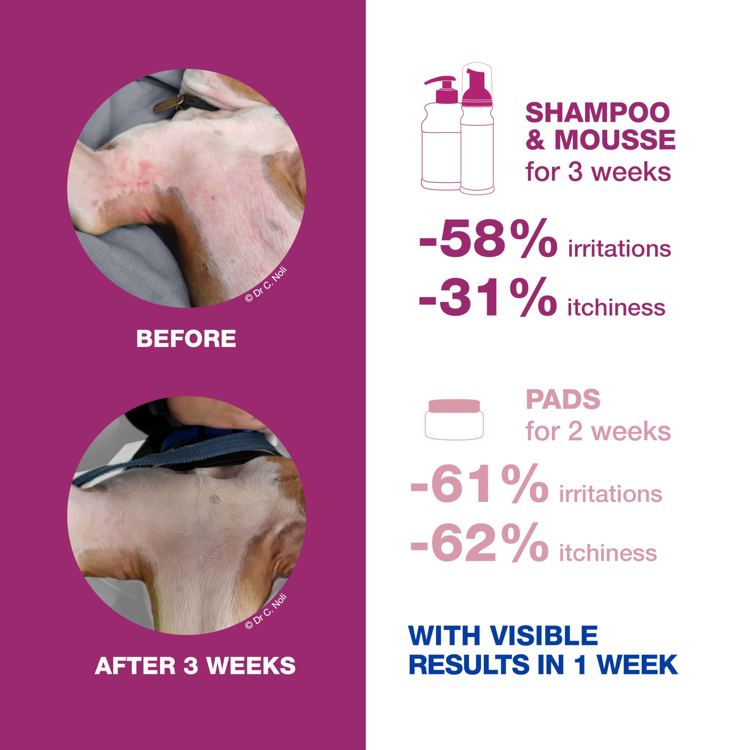Douxo S3 CALM Mousse for Dogs & Cats - Soothing Leave-On Itch Relief | 150 ml 3