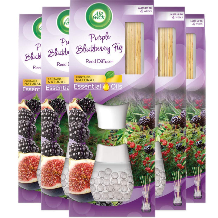 Airwick Reed Diffuser - Purple Blackberry Fig, Pack of 5 x 33ml