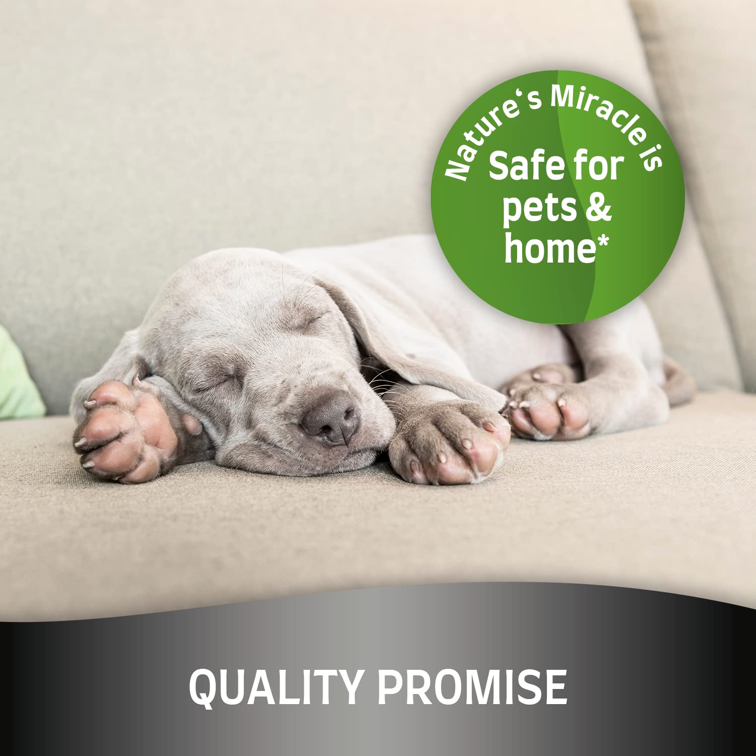 Nature's Miracle Ultimate Dog Stain & Odour Eliminator - Extra Strong Bio-Enzymatic Formula | 946 ml 8