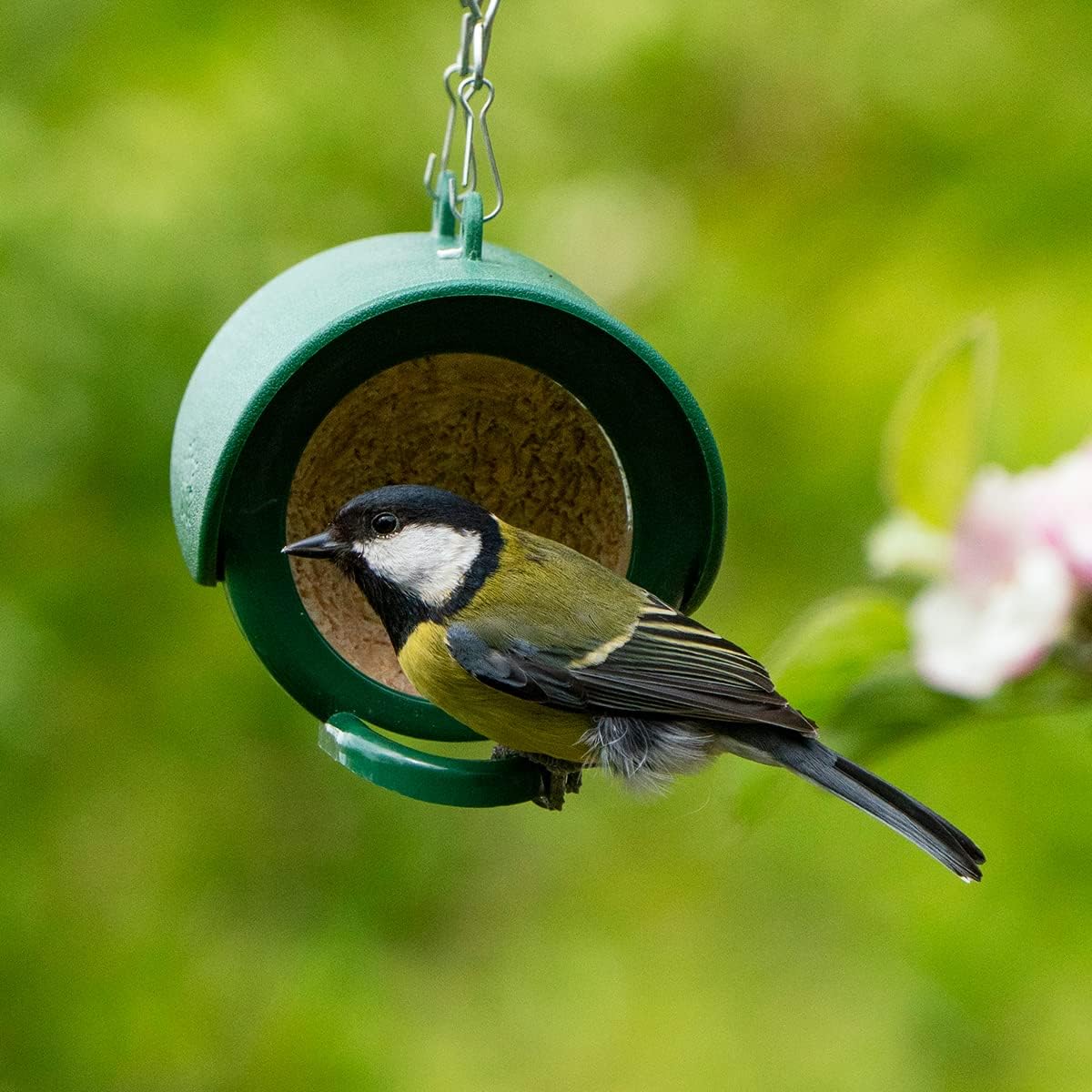 Flutter Butter Original Pods for Birds, Pack of 3 x 170g, Compatible with All Flutter Butter Feeders 7