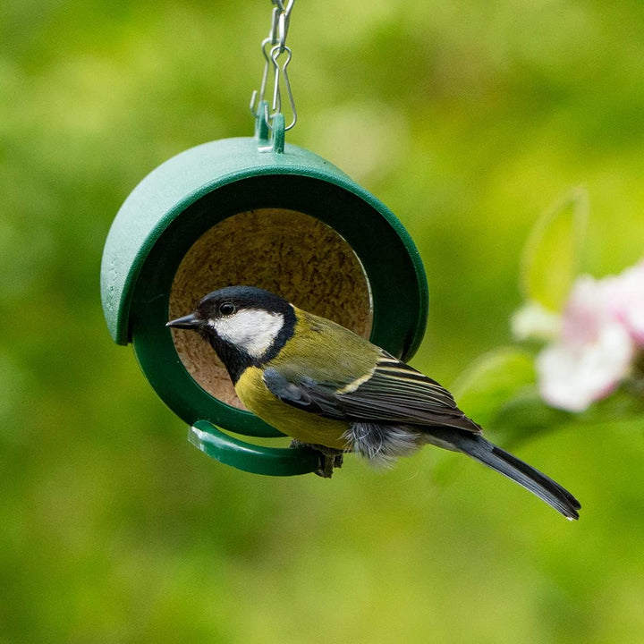 Flutter Butter Original Pods for Birds, Pack of 3 x 170g, Compatible with All Flutter Butter Feeders