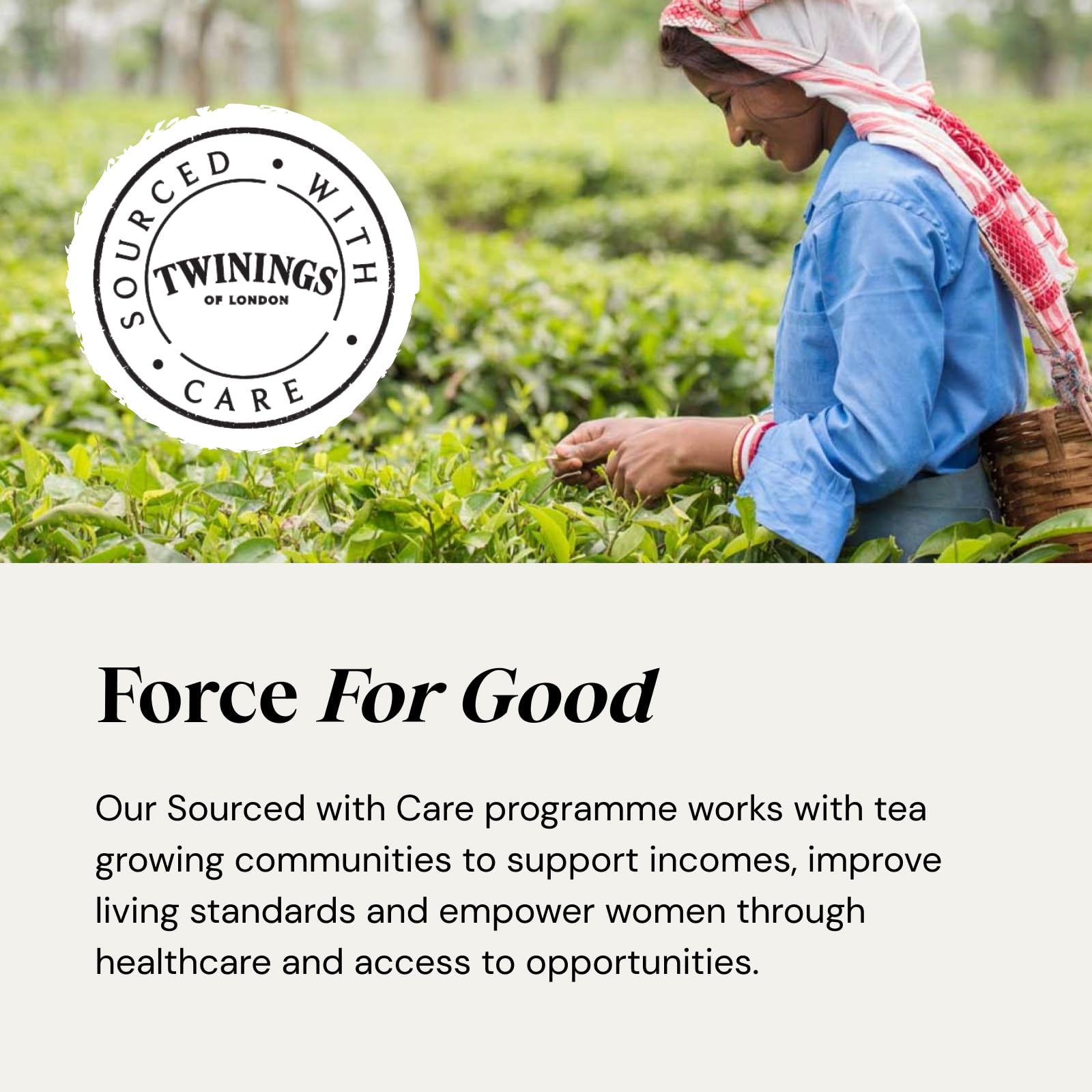 Twinings 24 Days of Festive Warmth Advent Calendar 2024 - Premium Tea Selection 5