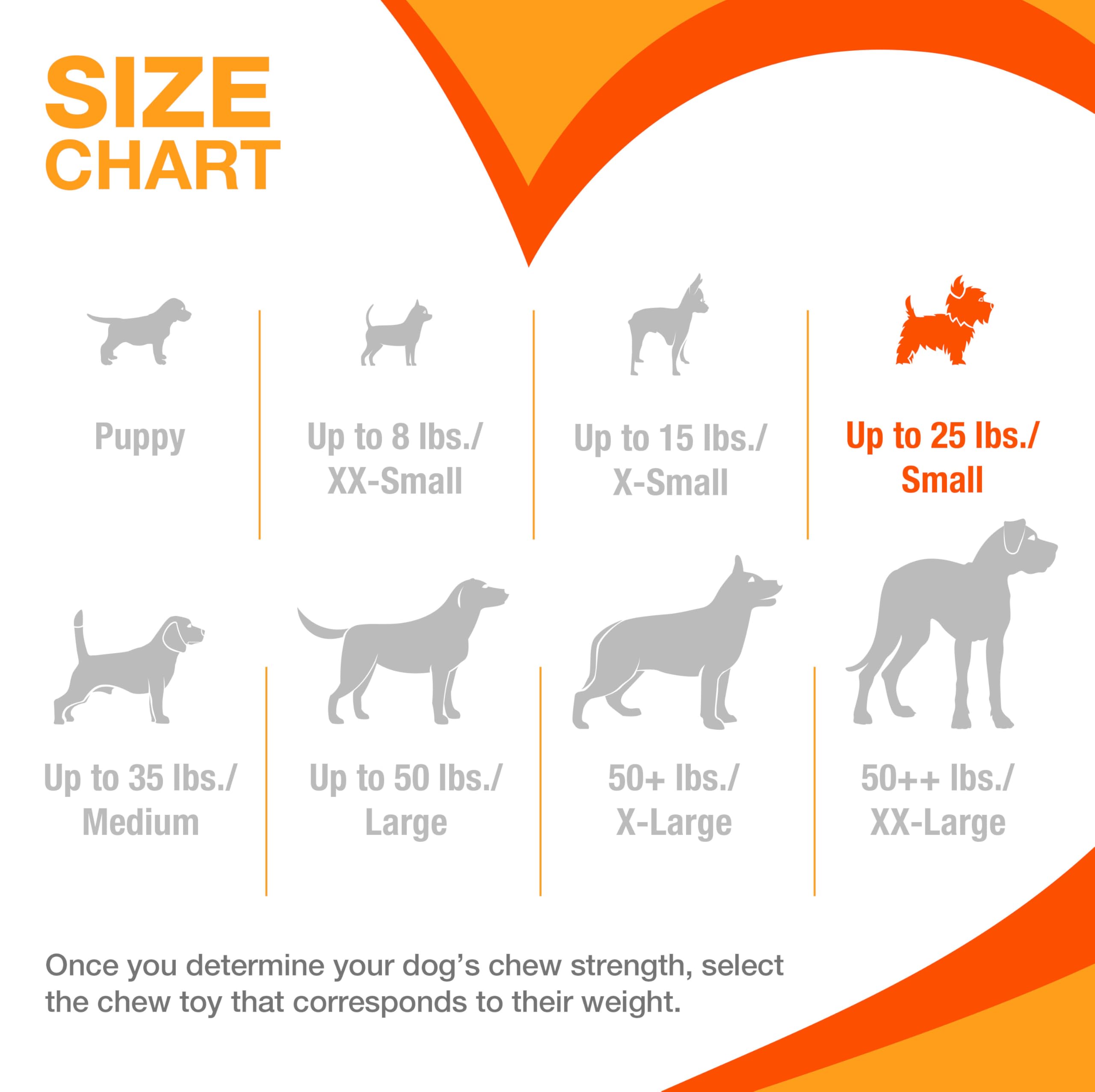 Nylabone Gentle Puppy Chew Toy - Bacon Flavor, Small (Up to 11 kg) 5