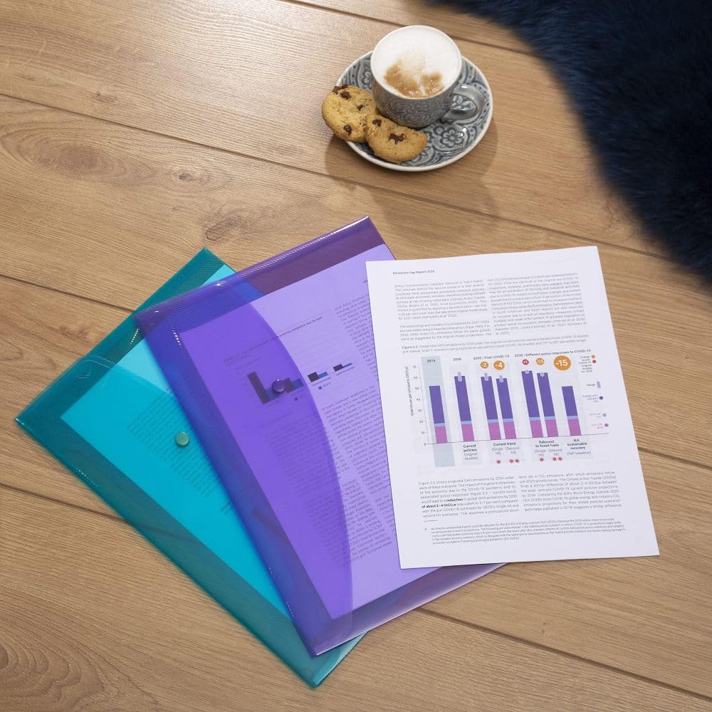 RAPESCO Popper Wallets 1665 - A4+ Capacity, 150 Sheets, Assorted Transparent Colours | Pack of 10 4