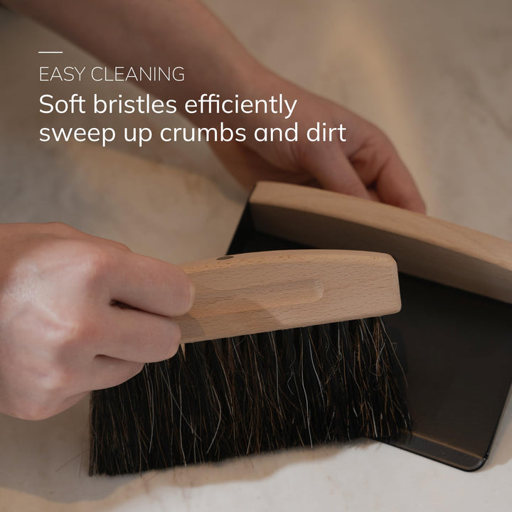 ENA Living Mini Dustpan and Brush Set - Small Cleaning Brush Set for Home, Kitchen, Fireplace