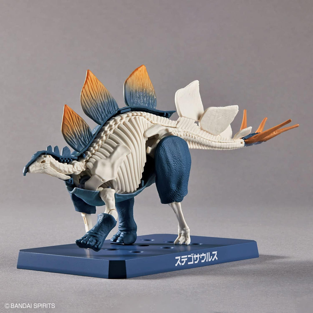 Bandai Dinosaur Plastic Stegosaurus Model Kit - Buildable Prehistoric Creature Toy